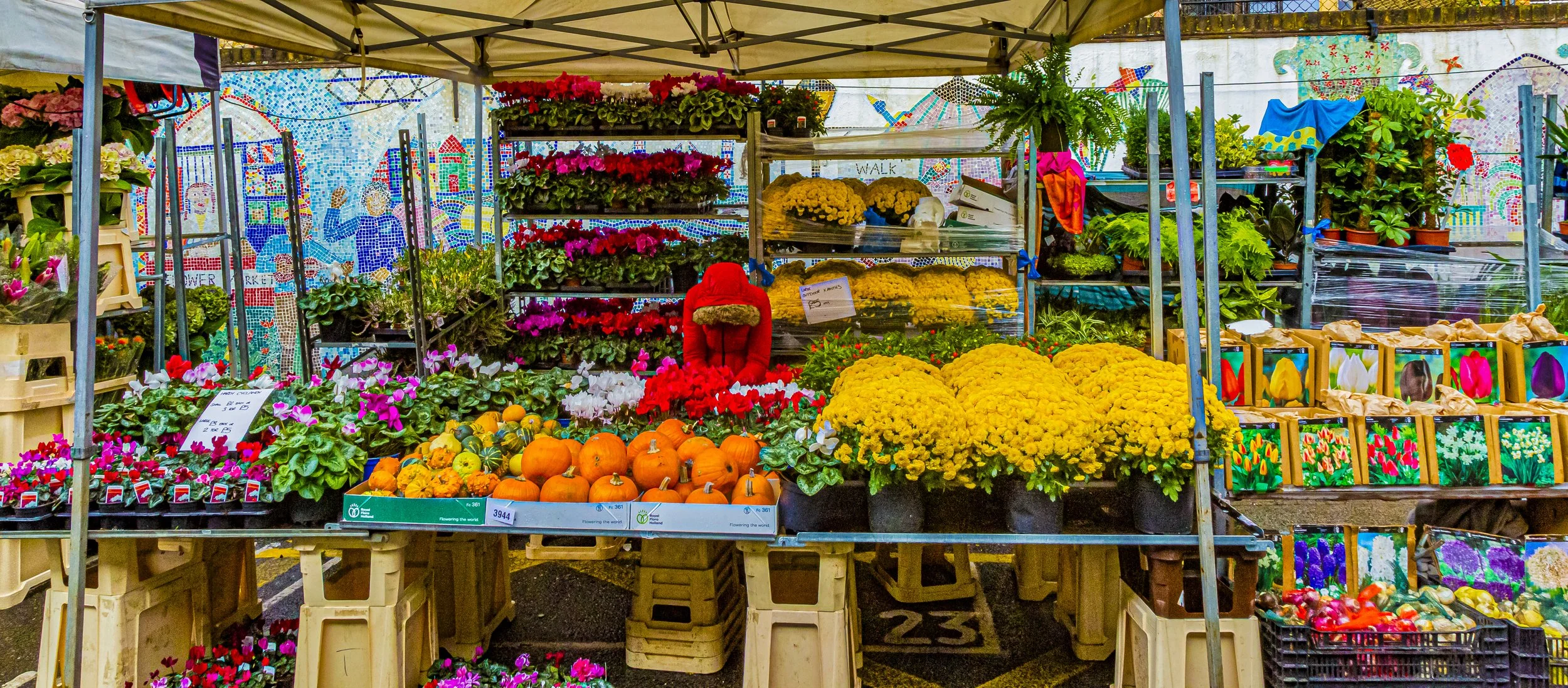 Columbia Rd Flower Market