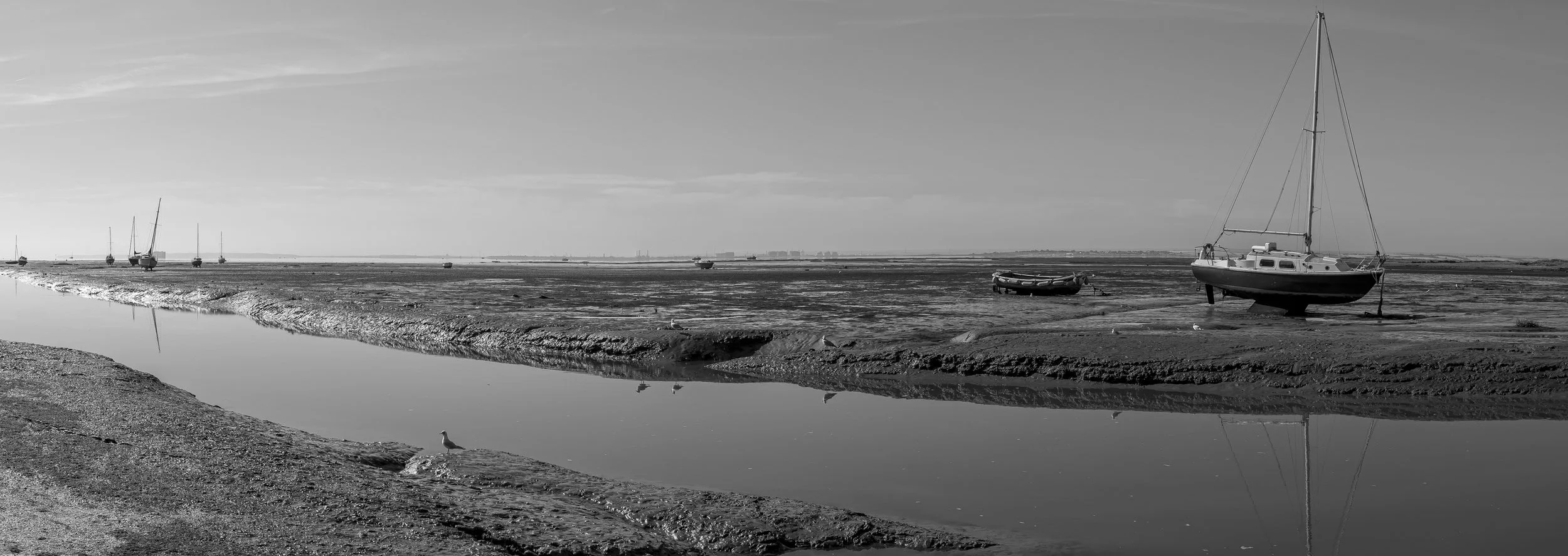 0Q9A4862-Pano copy.jpg