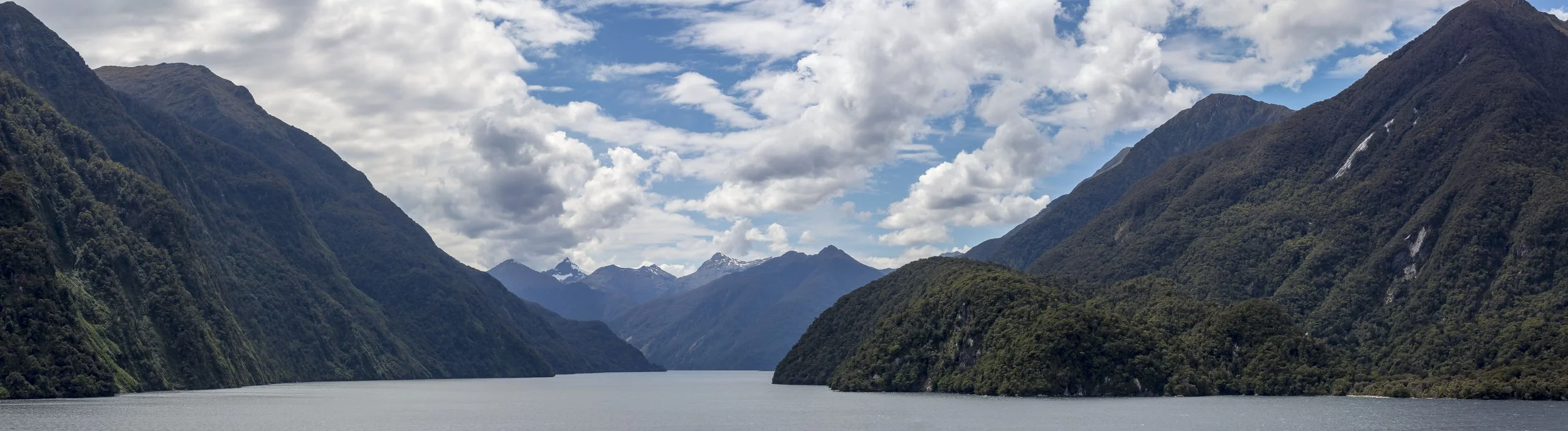 _U7A7593-Pano web.jpg