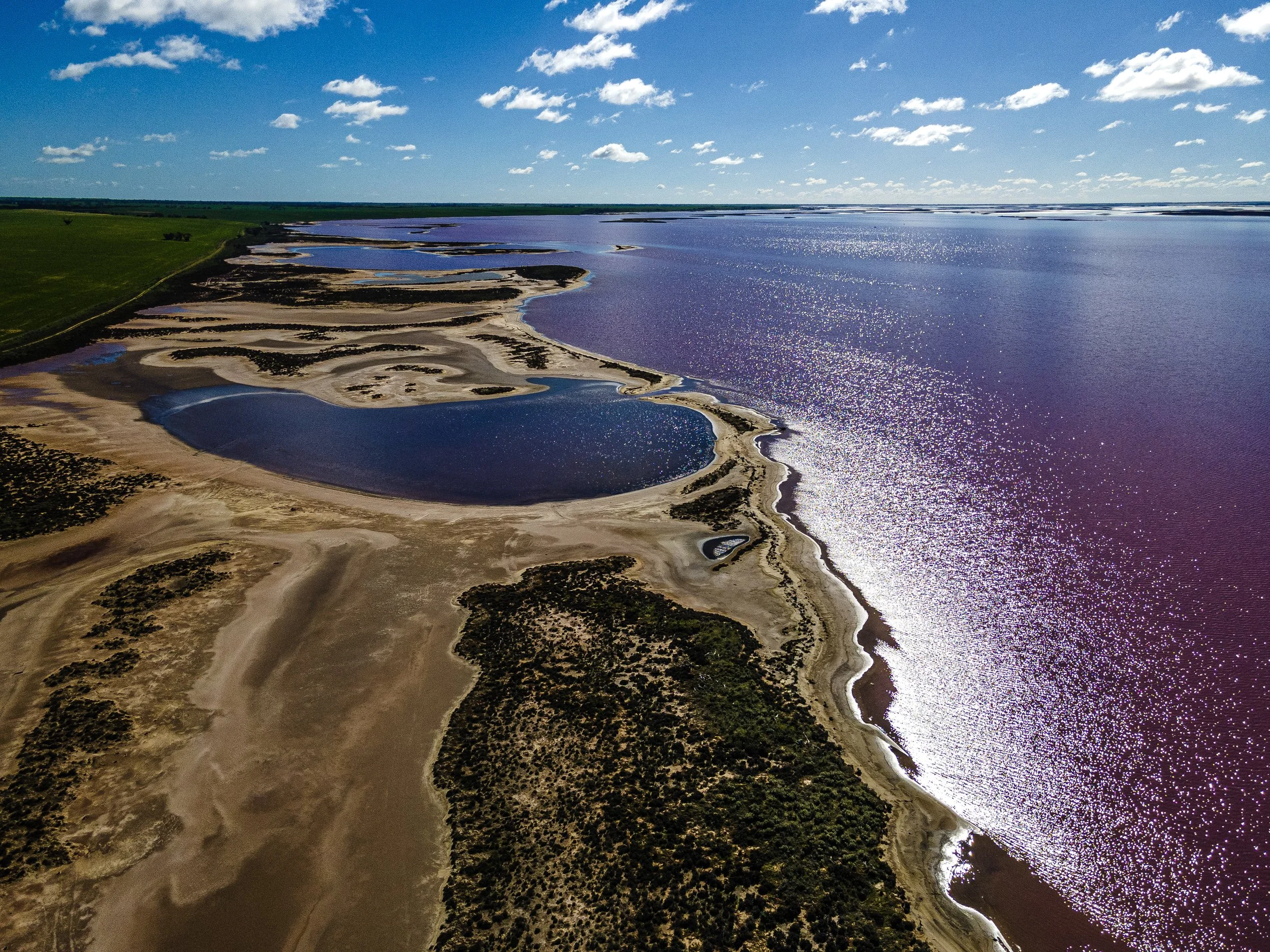 DJI_0021 copy.jpg