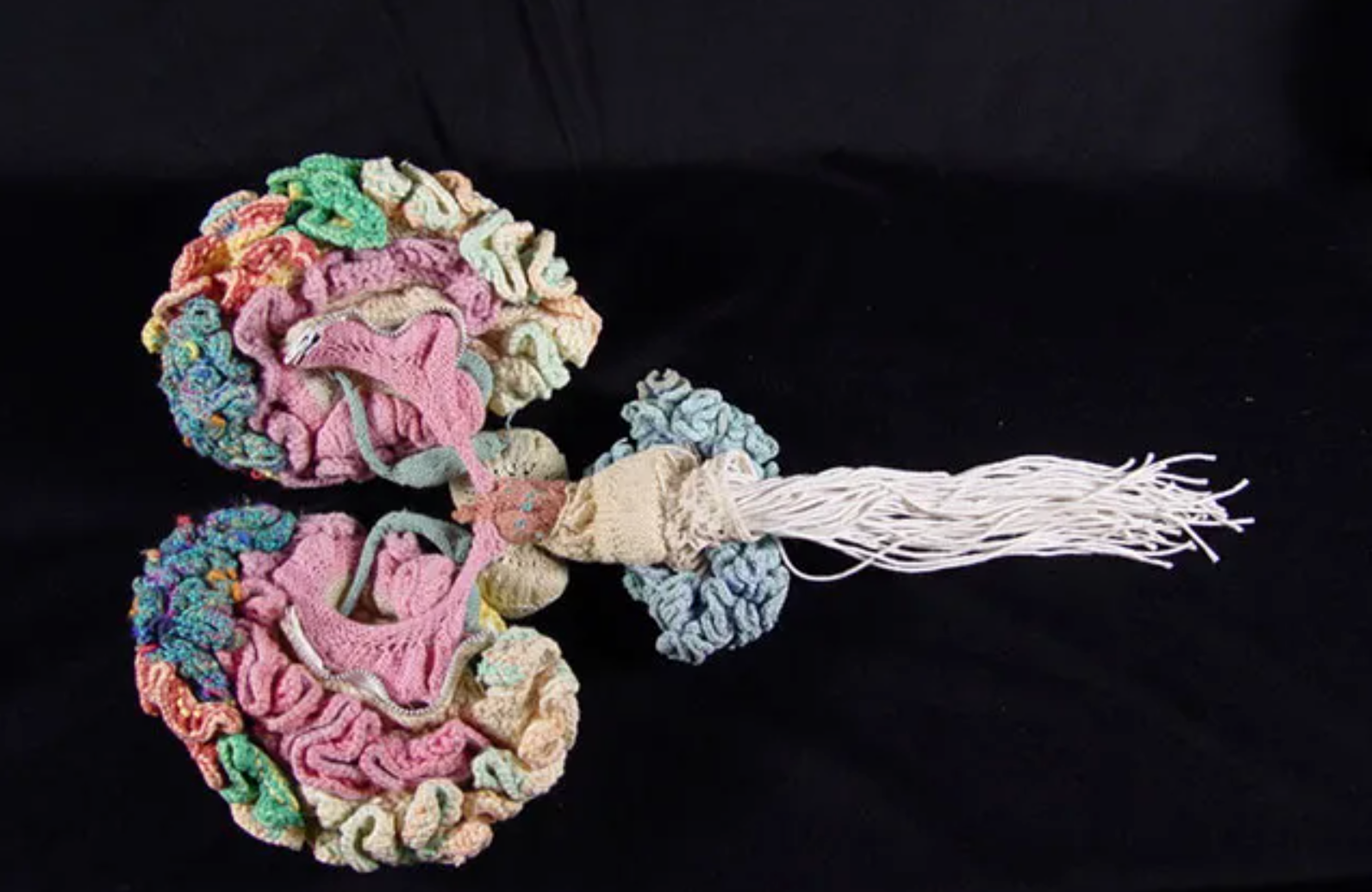 Psychedelics and Spinal Cord Injury