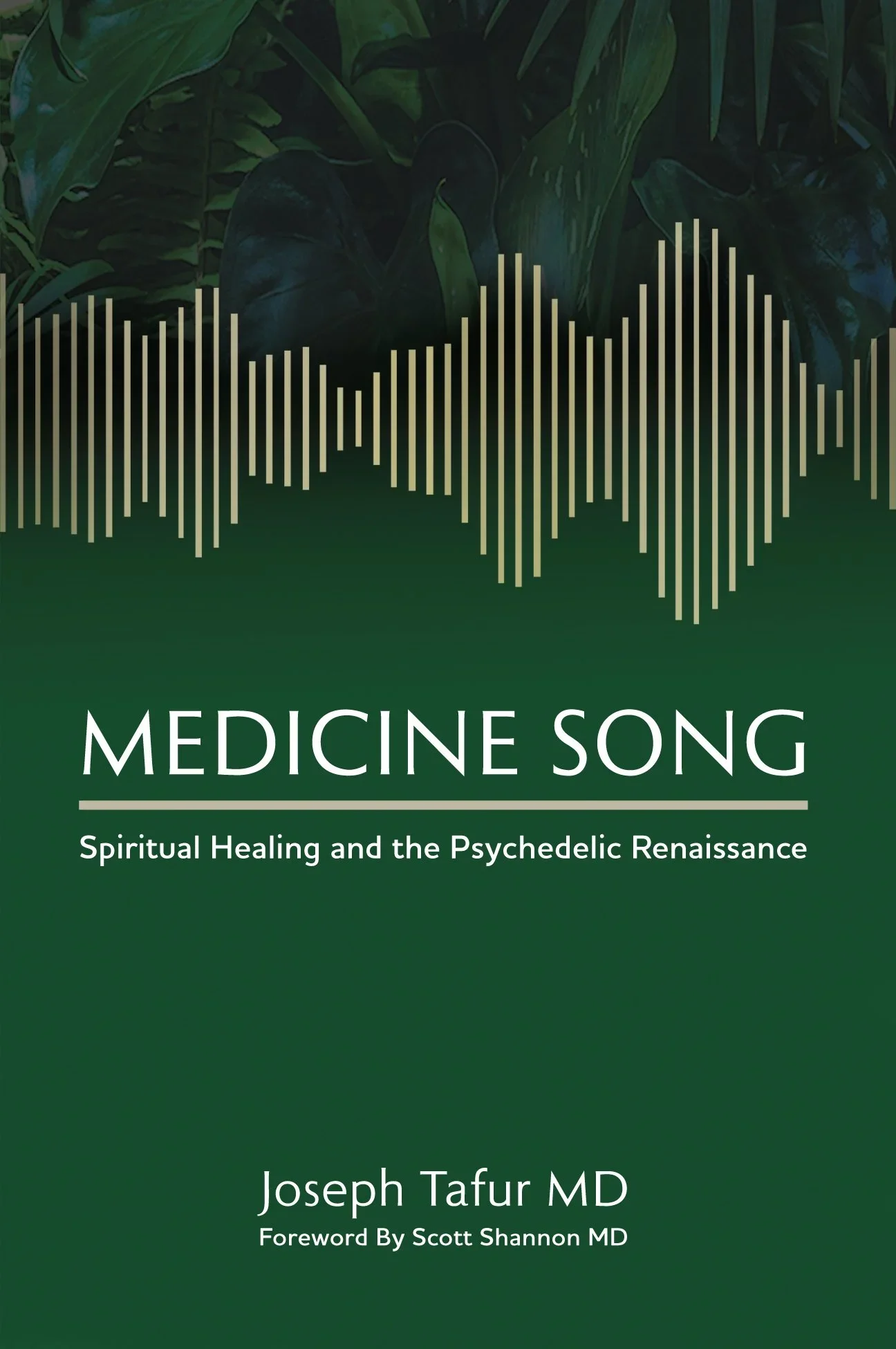 The Medicine Song: What Modern Medicine Doesn’t Understand About Healing