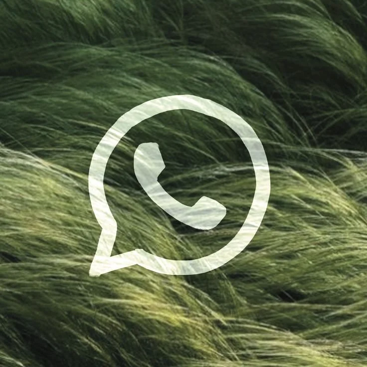 A large WhatsApp logo superimposed over a scenic background of green and yellow grass blades blowing in the wind.
