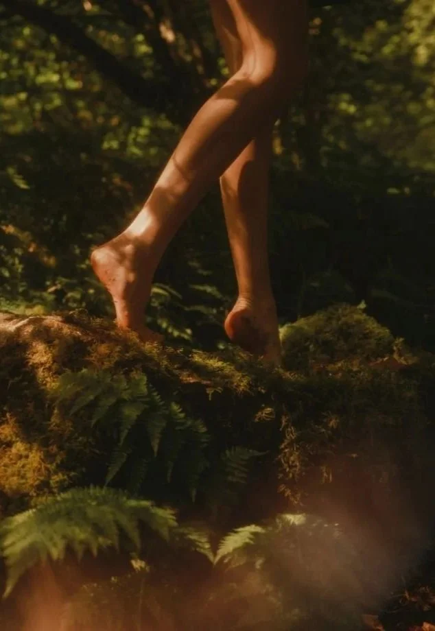 GALILEA and Beyond Consulting. Close-up of two person's bare feet standing on moss-covered log in a forest with sunlight filtering through trees.