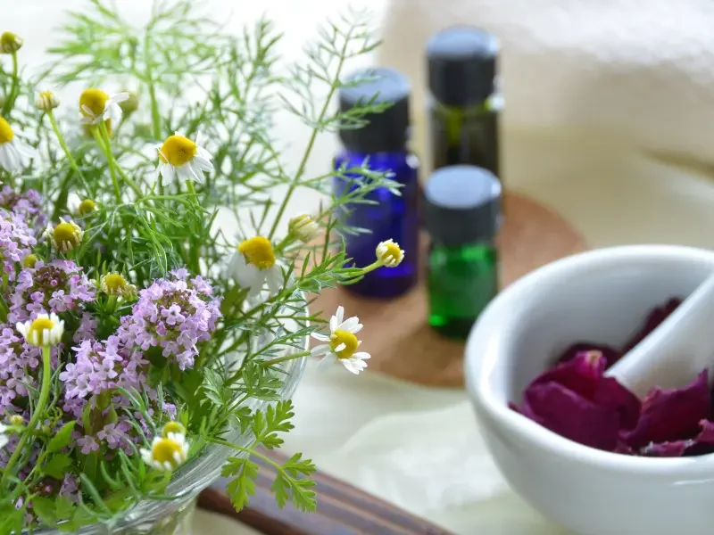 Botanical medicine for chronic illness displayed with fresh herbs, essential oils, and dried petals for natural healing
