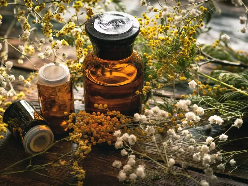 Integrative botanical medicine shown with amber tincture bottles surrounded by wildflowers and medicinal plants