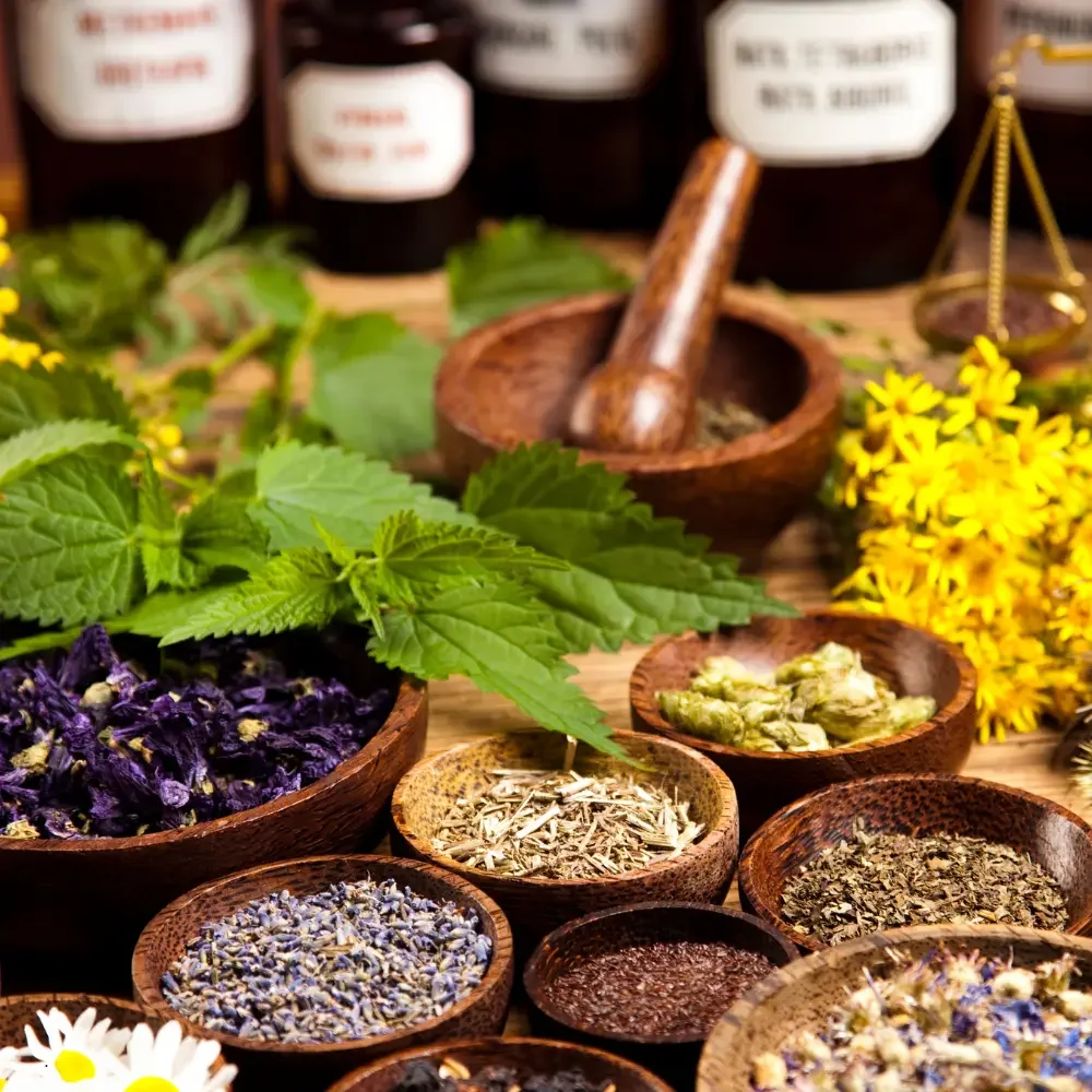 Botanical Medicine in Modern Clinical Practice