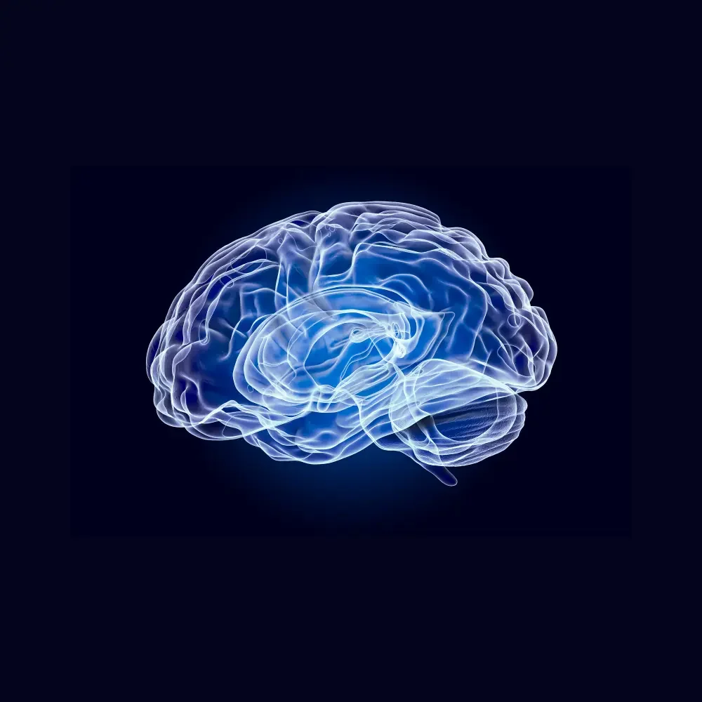 The Blueprint For Scaling Your Integrative Medicine Practice