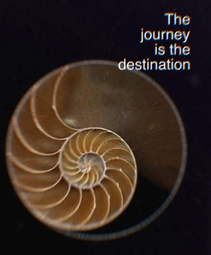 nautilus shell GALILEA women's health Stephanie Karzon Abrams