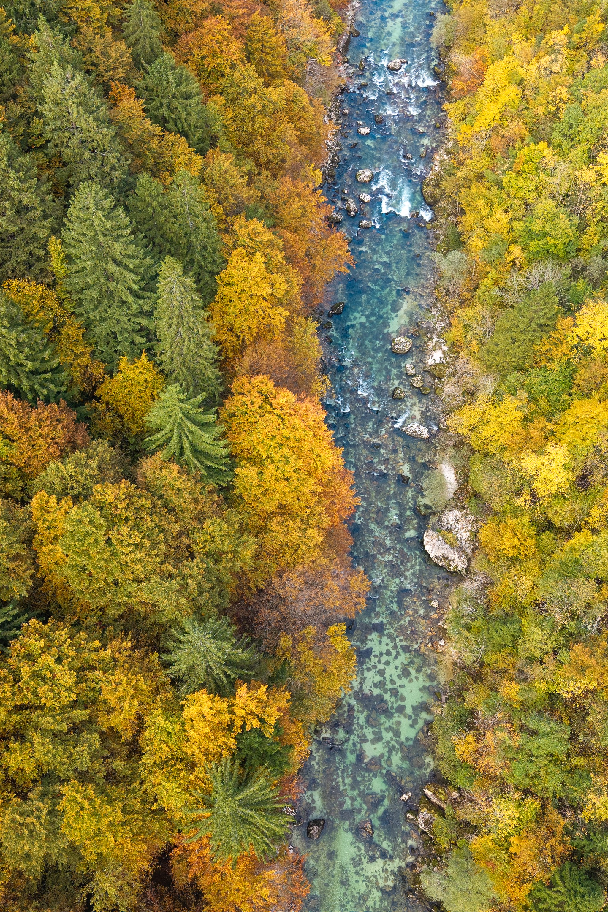 DJI_20251014154249_0265_D.jpg