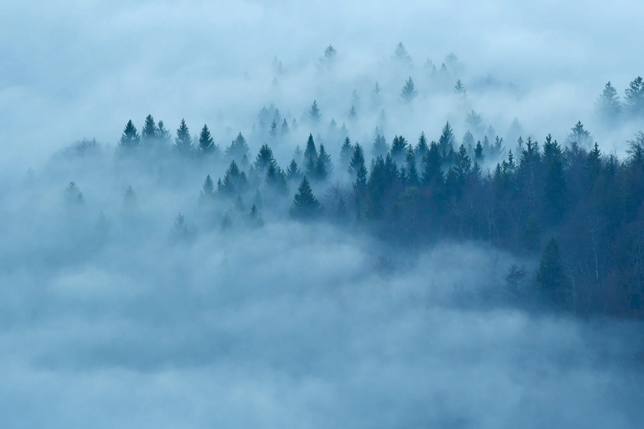 DSC_5696.jpg