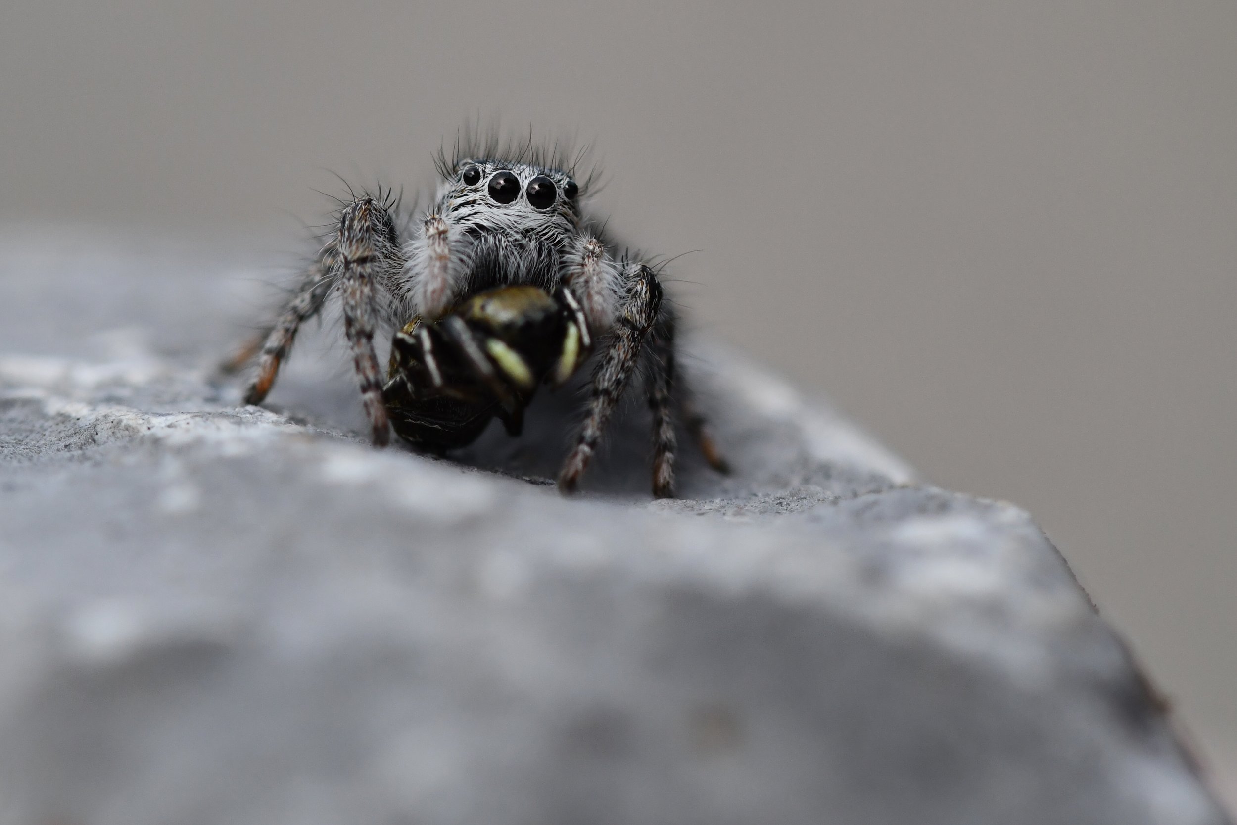 DSC_2309.JPG