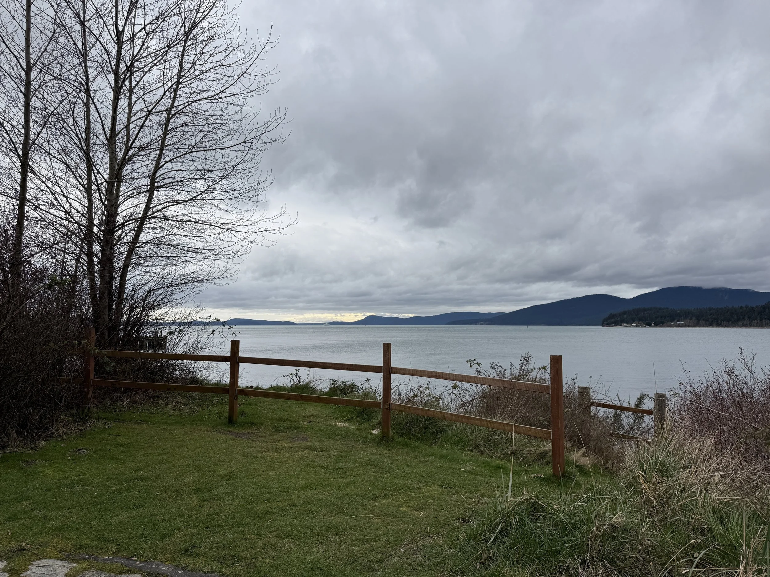 A lakeside scene with a wooden fence, green grassy area, leafless tree on the left, and cloudy sky with mountains in the background.