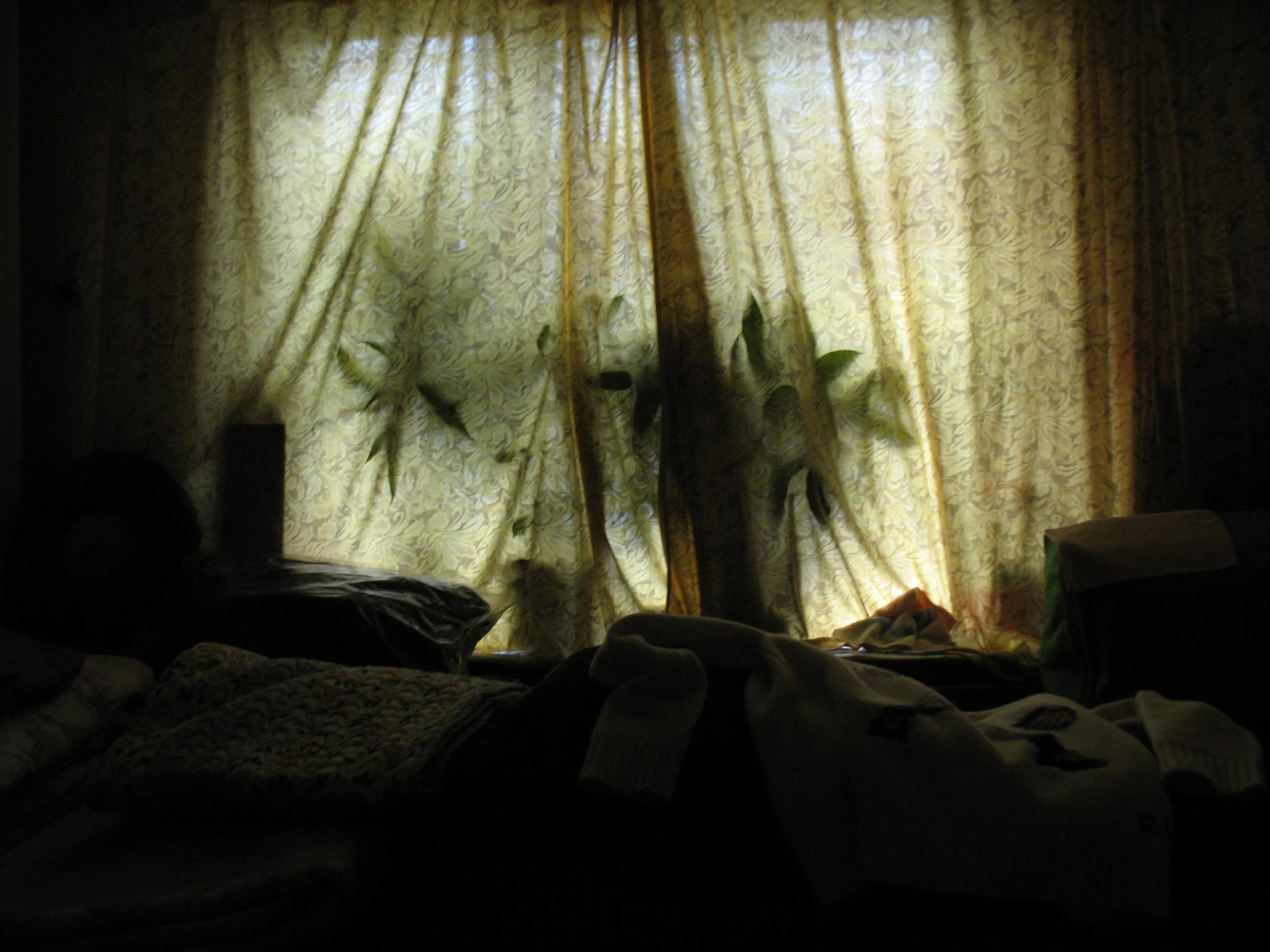 A dimly lit room with yellow-patterned curtains covering the windows, some plants on a windowsill, and various objects in the foreground including clothing or fabric.
