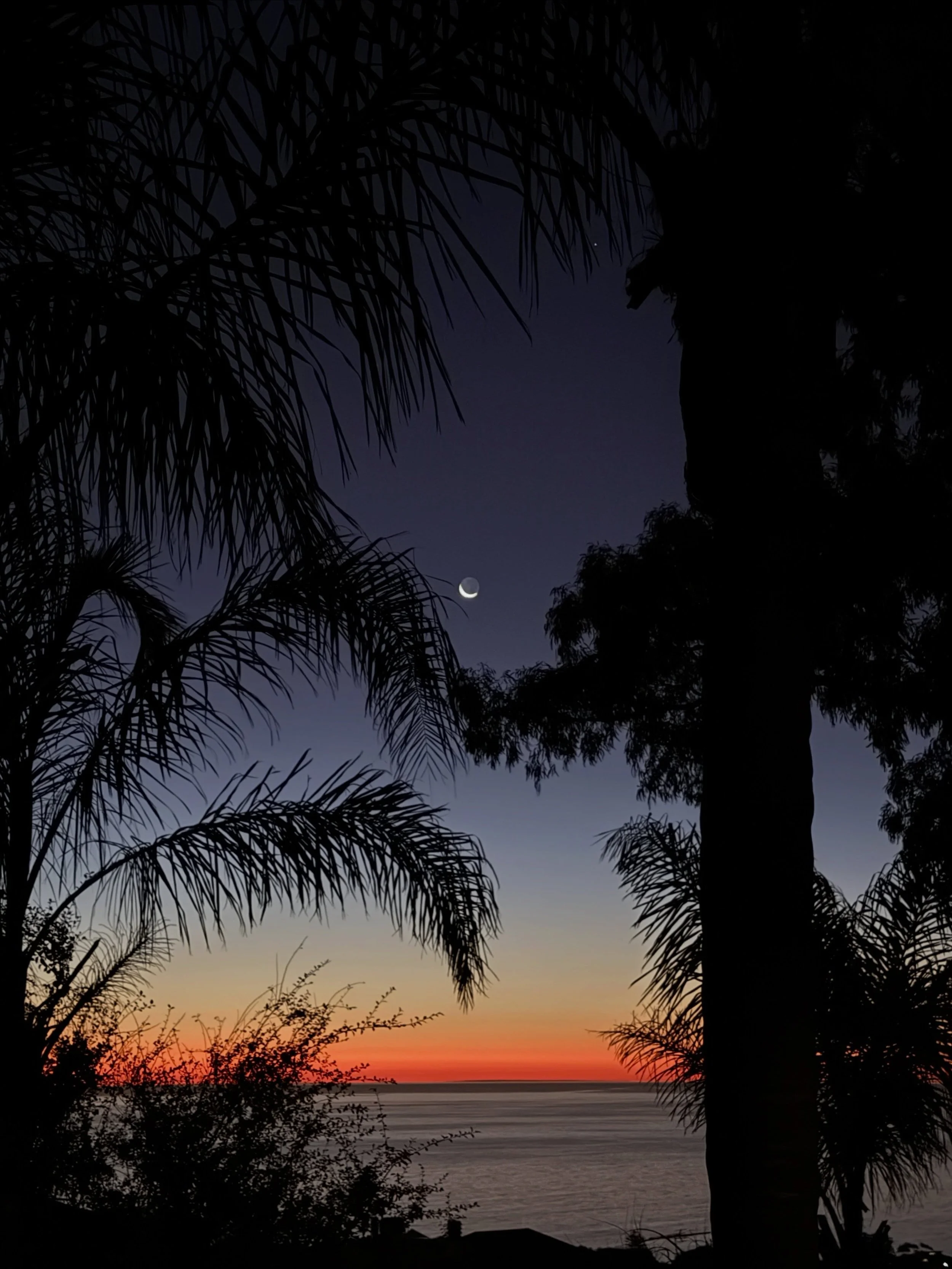 Tonight&rsquo;s Waxing crescent 🌙 Venus peeking out just above 💫😍💫

#waxingcrescent #sunset #adelaide