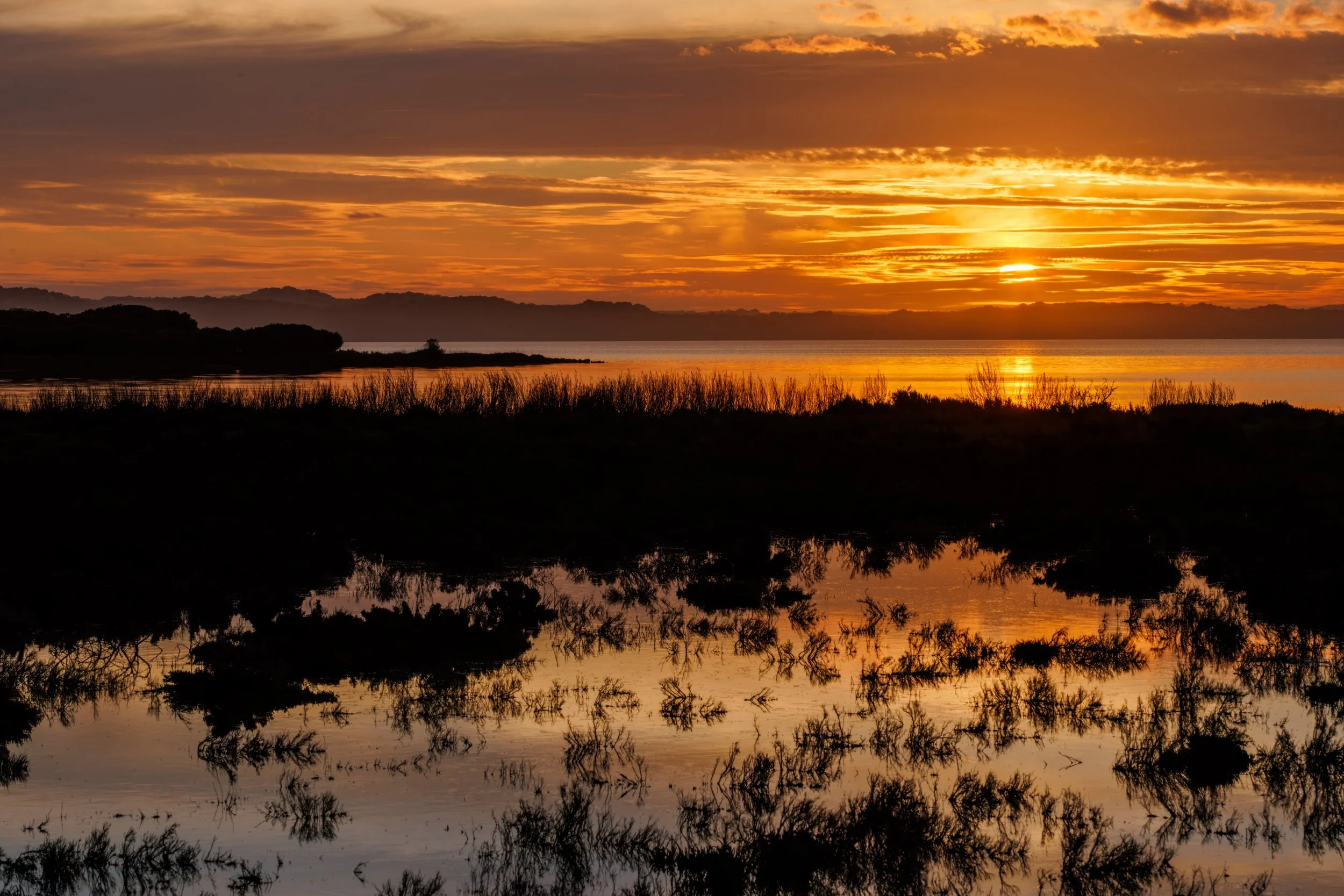 More mozzie bites but a stunner of a sunset at Coorong National Park 🧡💛🧡