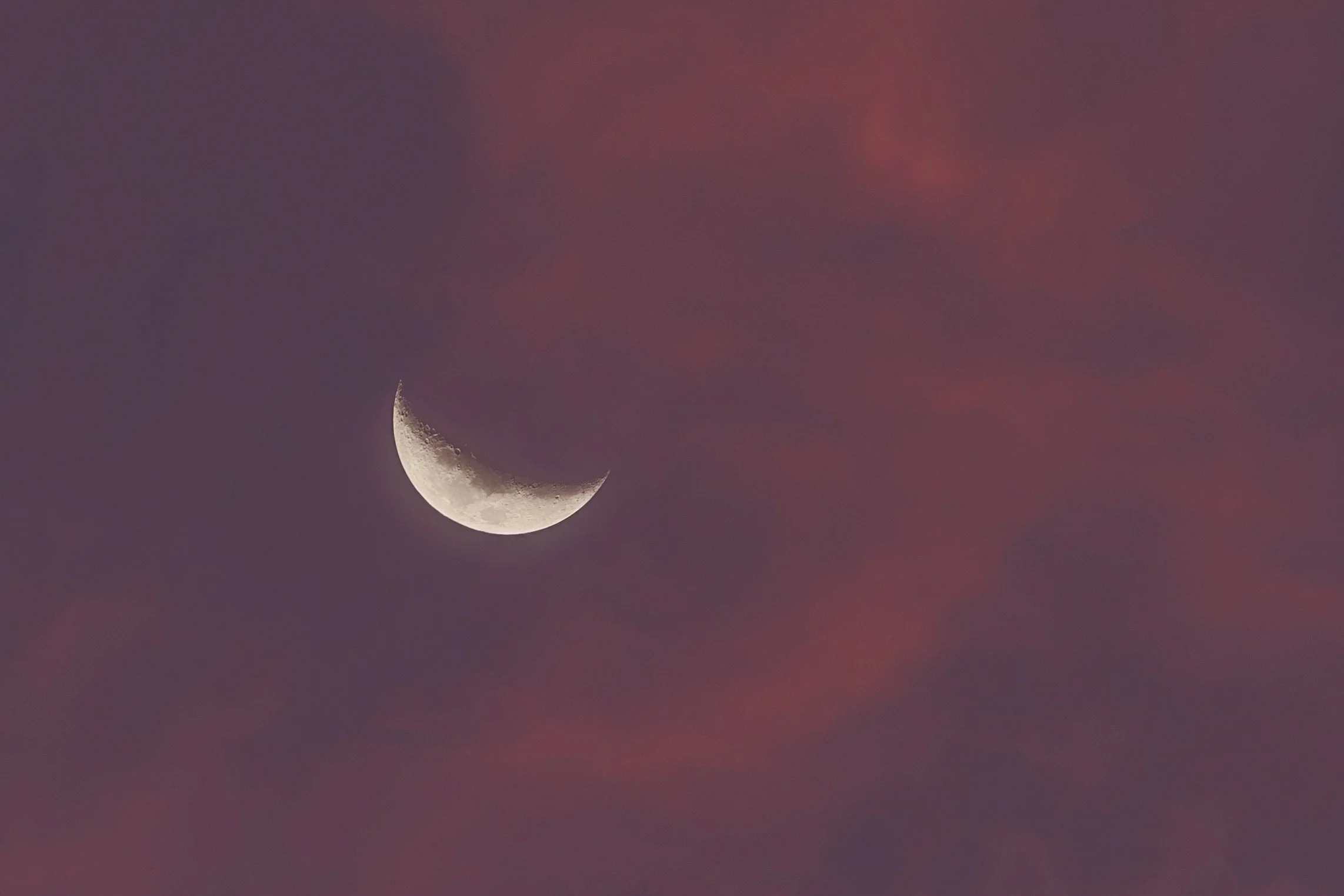 Last night&rsquo;s sky with pink wispy clouds and waxing crescent moon 🌙