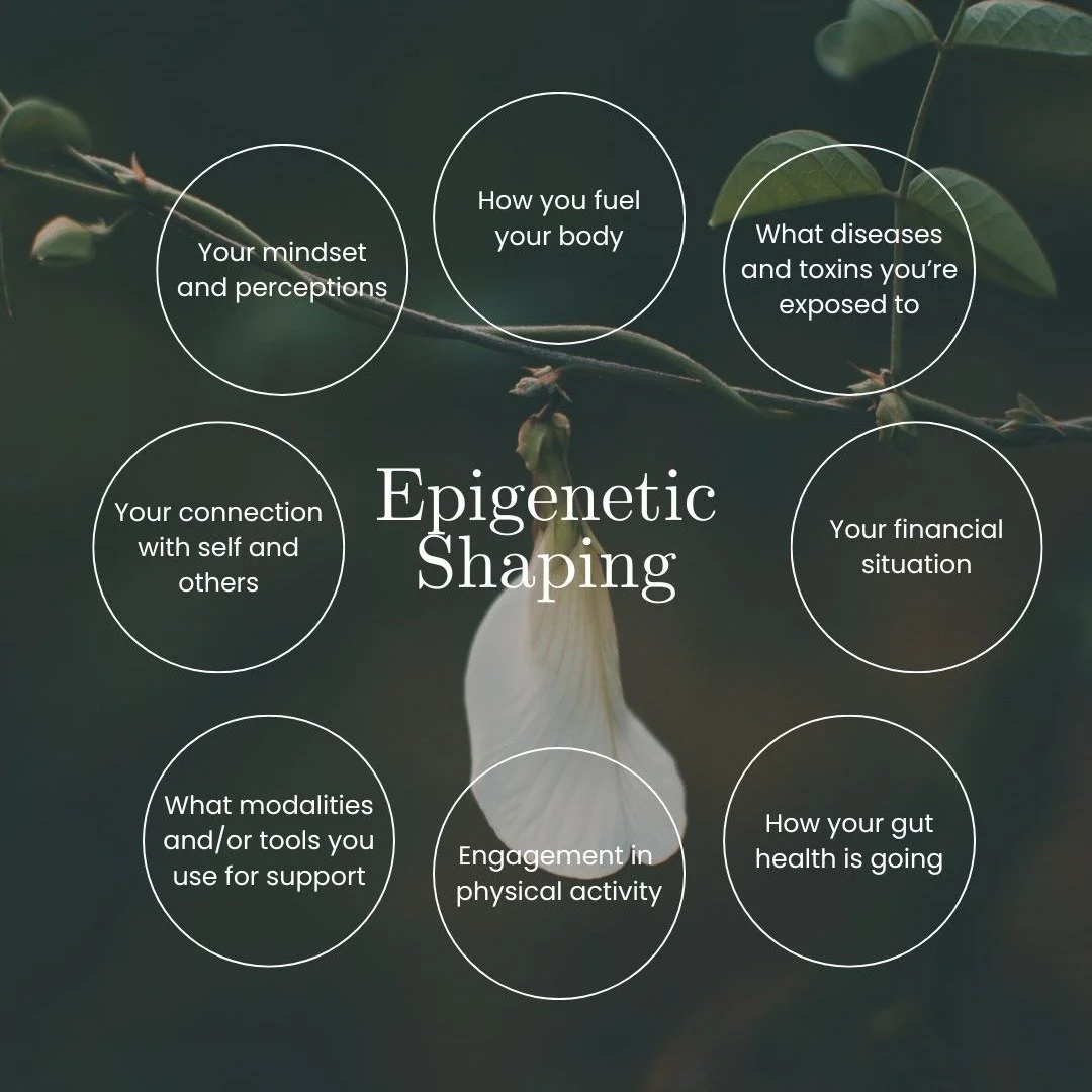 So many parts of your life can influence how your genes express themselves &mdash;
not by changing your DNA,
but by changing the signals your body receives every day. ✨

✔️ How you fuel your body
✔️ What diseases or toxins you&rsquo;re exposed to
✔️ 