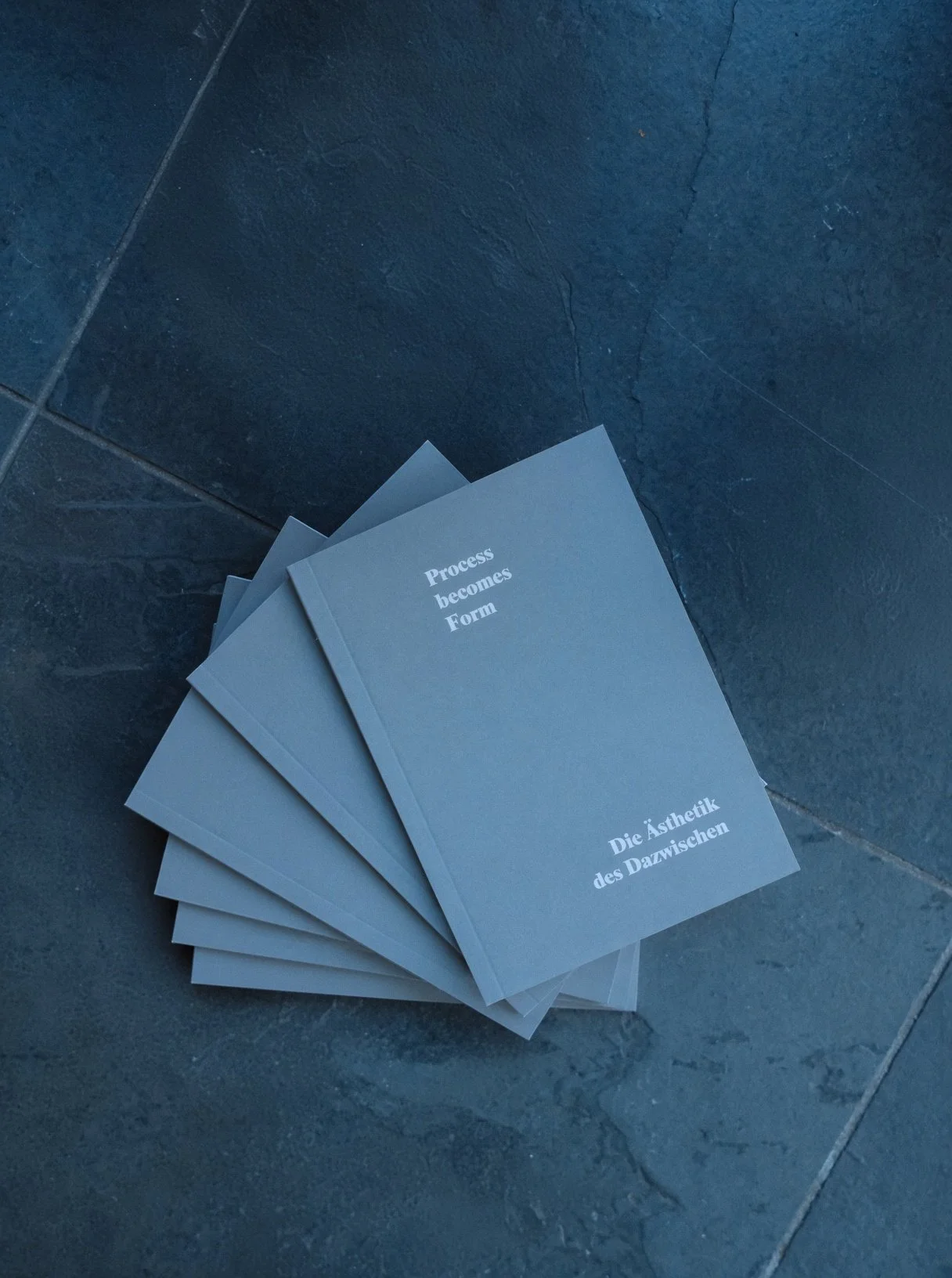 Buch: Process becomes Form – Die Ästhetik des Dazwischen