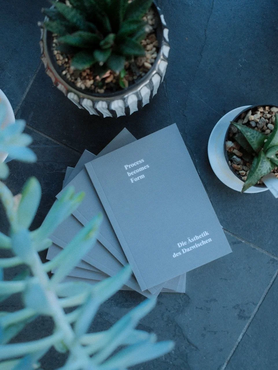 Gray booklets with white text reading 'Process becomes Form' and 'Die Ästhetik des Dazwischen' are stacked next to potted succulents on a dark tiled floor.