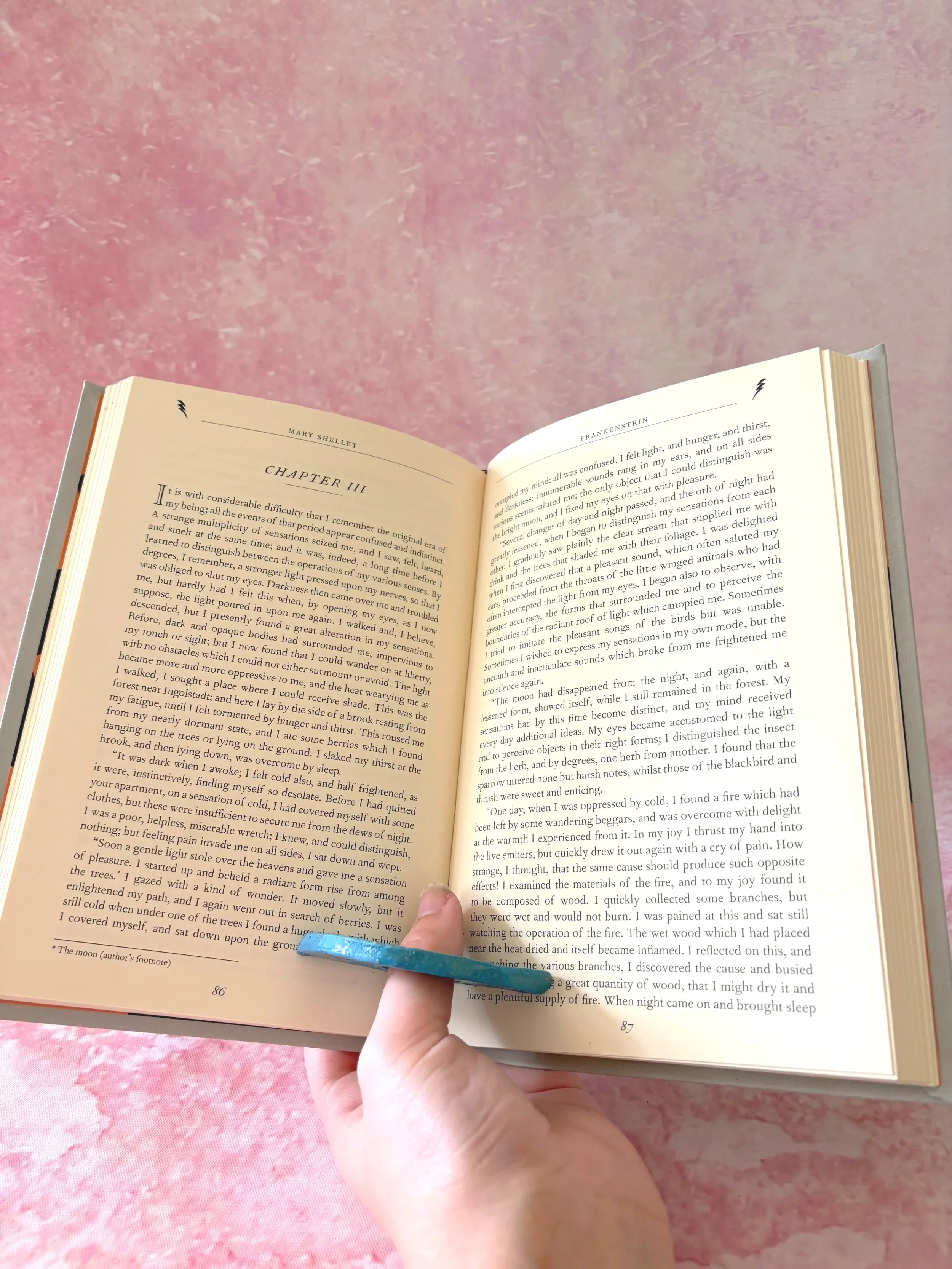 Juicy cherries patterned page holder in use, holding a book open.