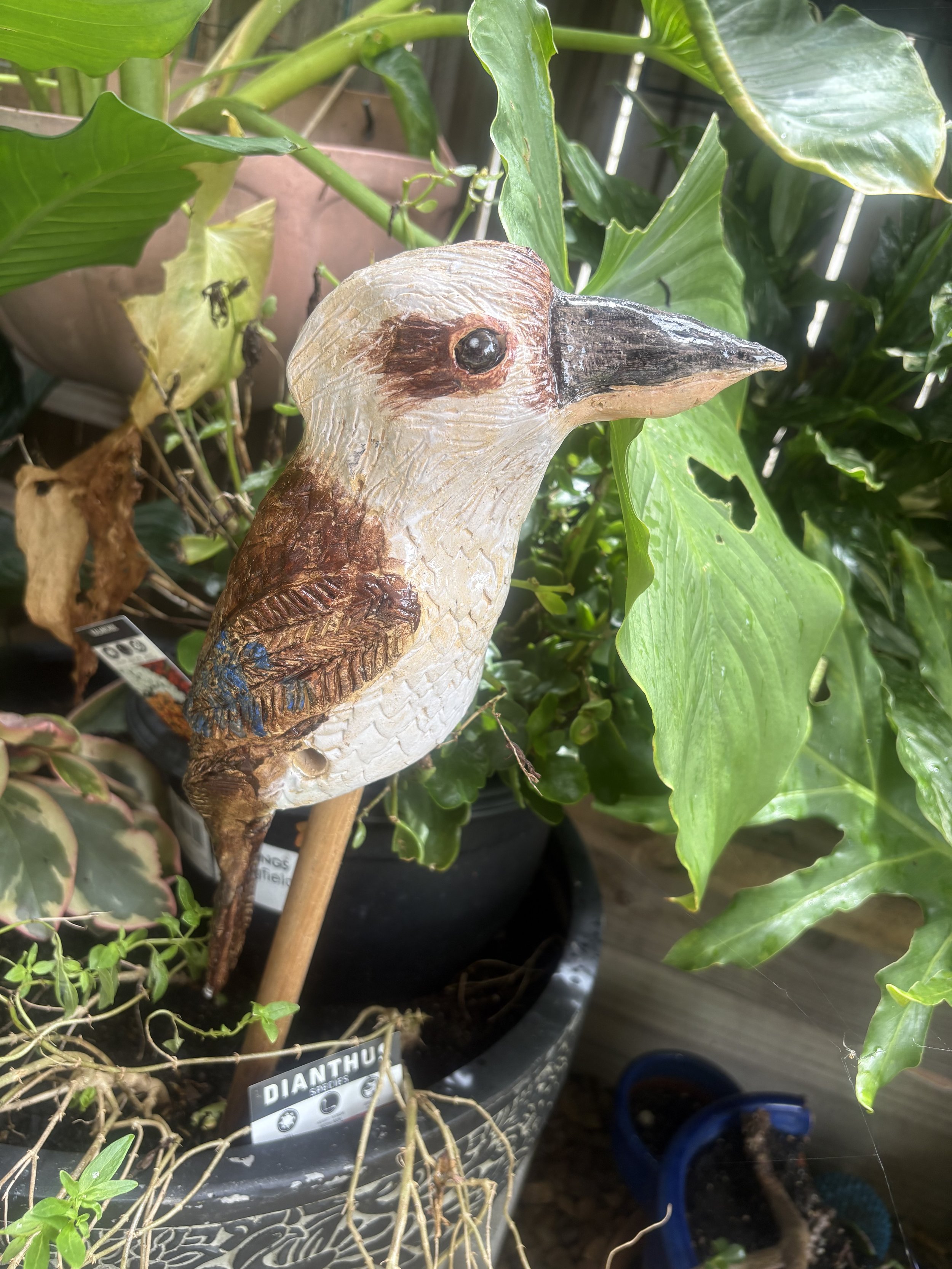 Decorative kookaburra sculpture among green potted plants, including large leafy ones, in a garden or outdoor setting.