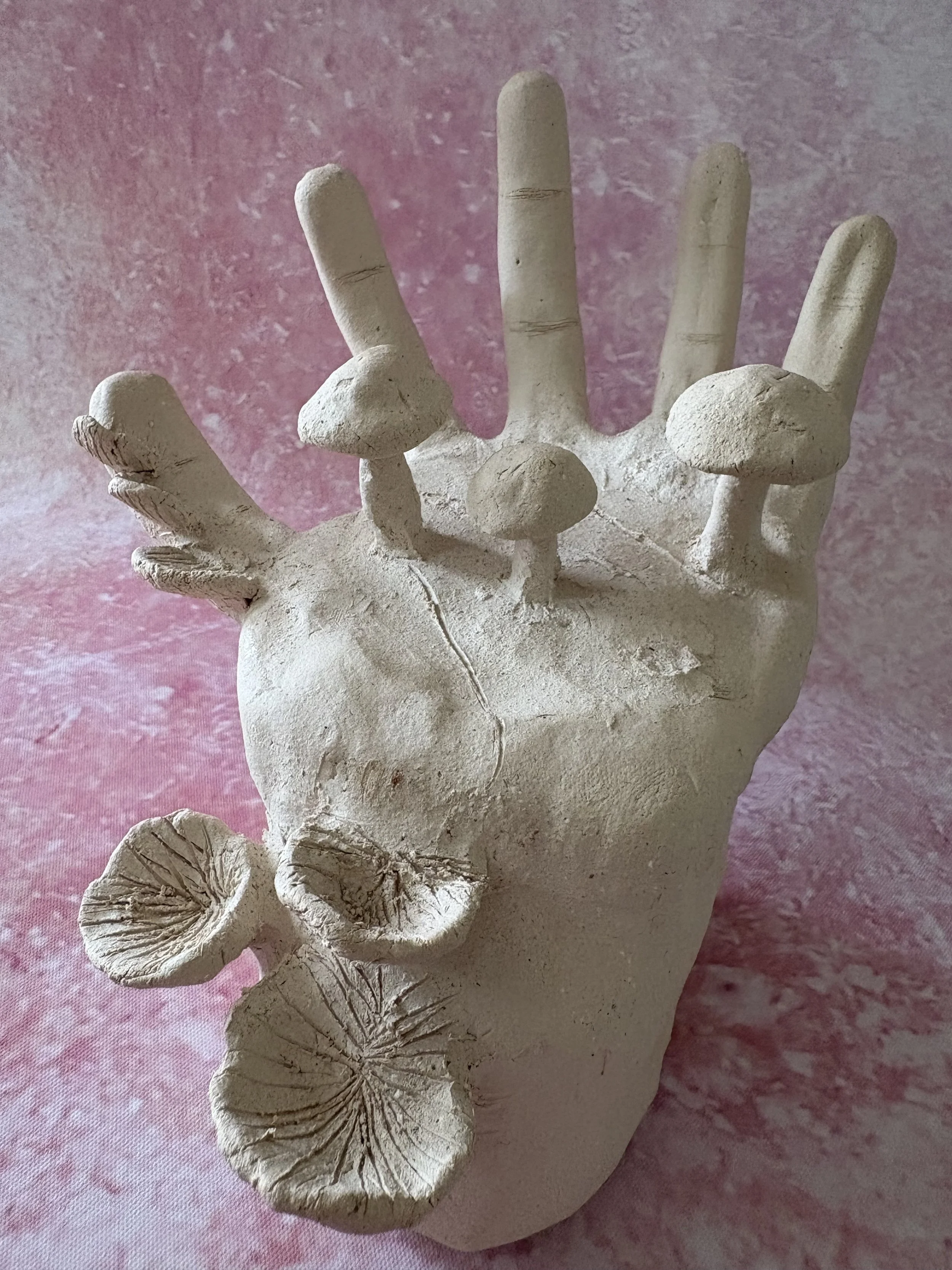 Fungus growing out of a hand