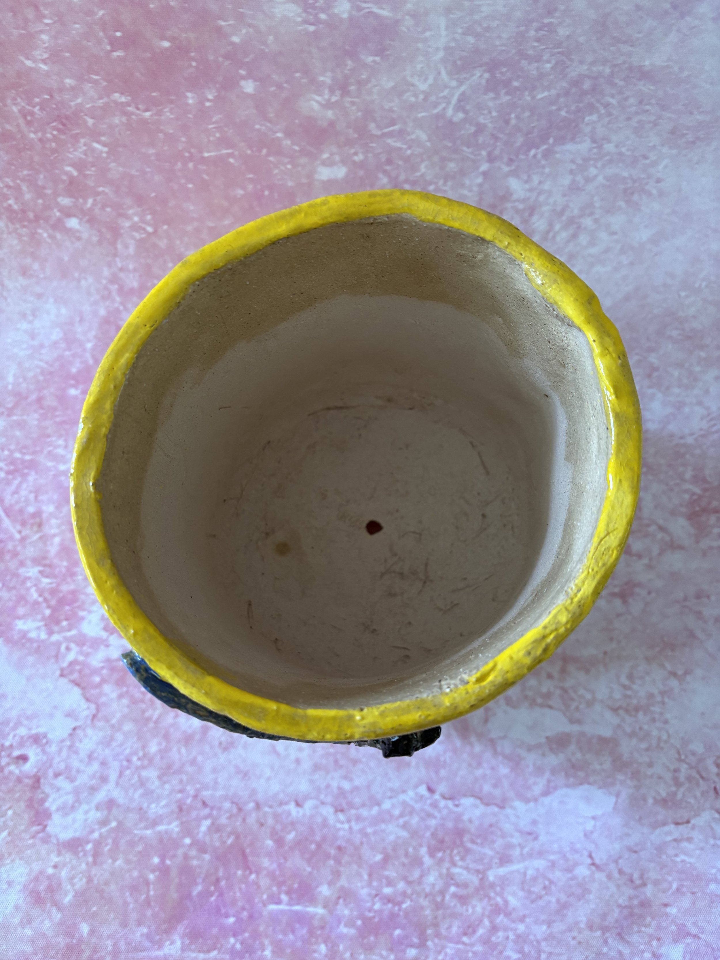 Birds Eye View of Yellow Plant Pot with Blue and Green Dragonfly and Carved Flowers