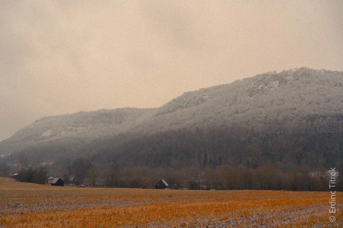 2025_02_14_11_43_12.jpg