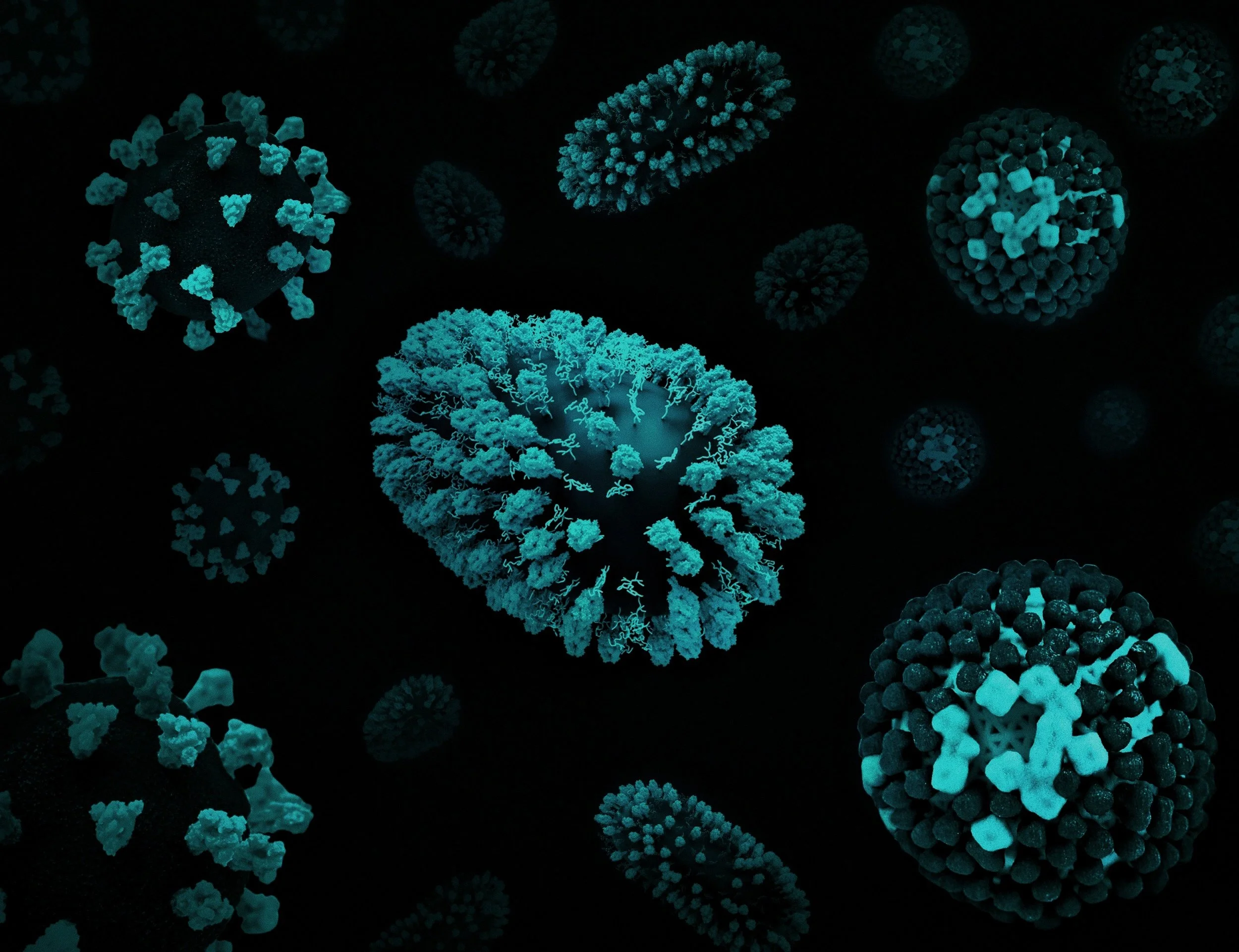 Mysteries of the Microbiome