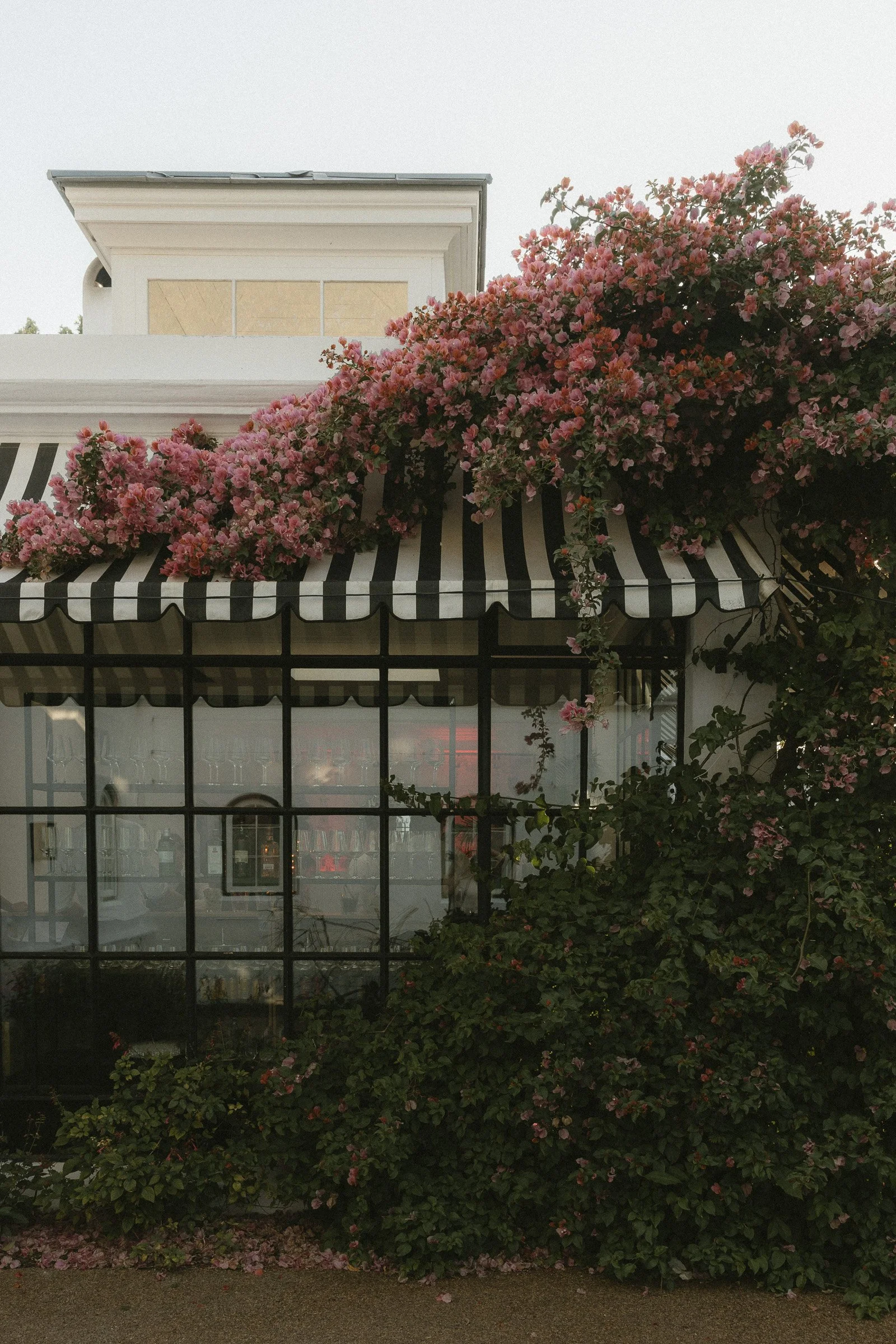 nina_buys_wedding_photographer-11.jpg