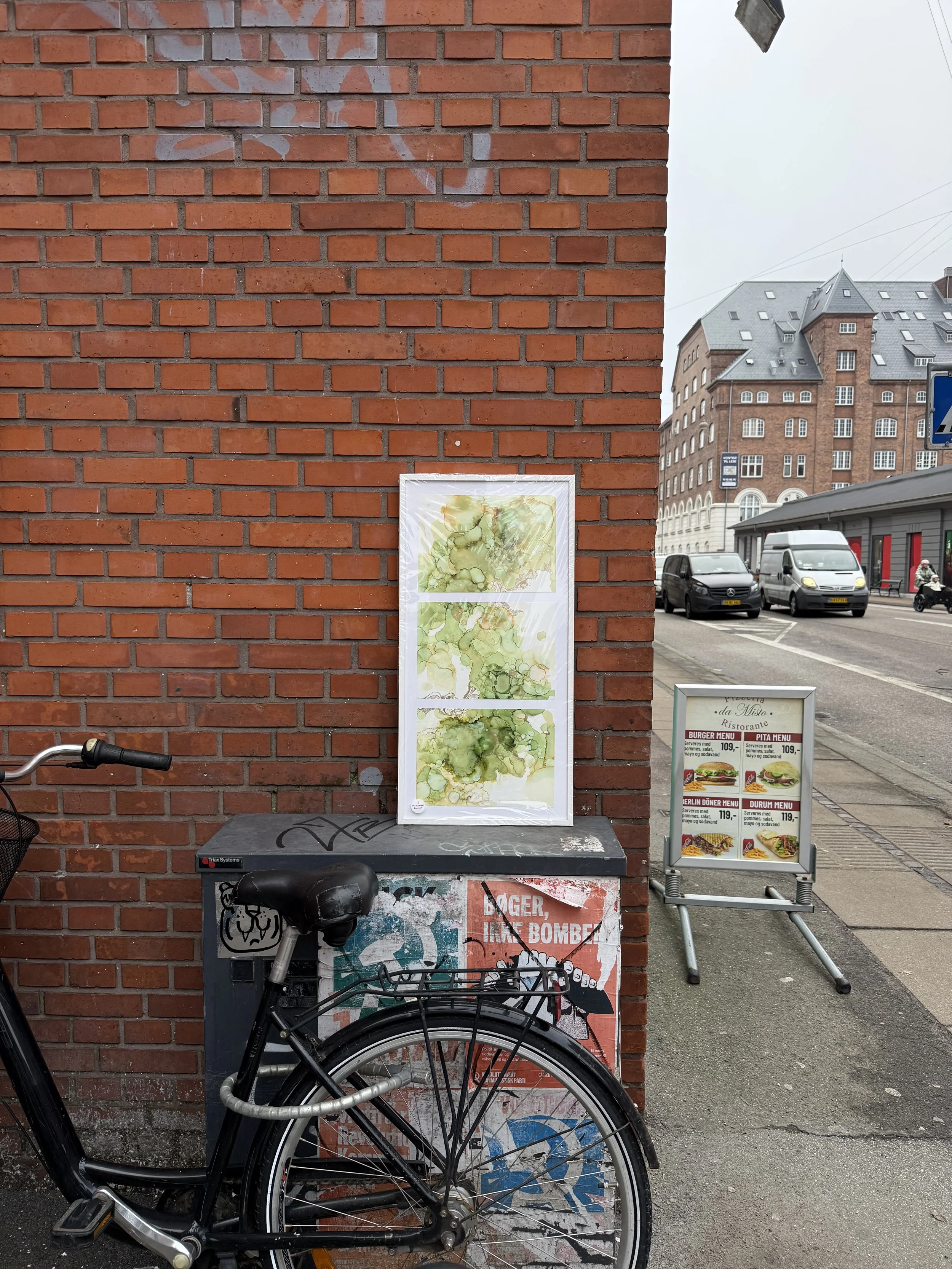 IMG_1583.jpeg