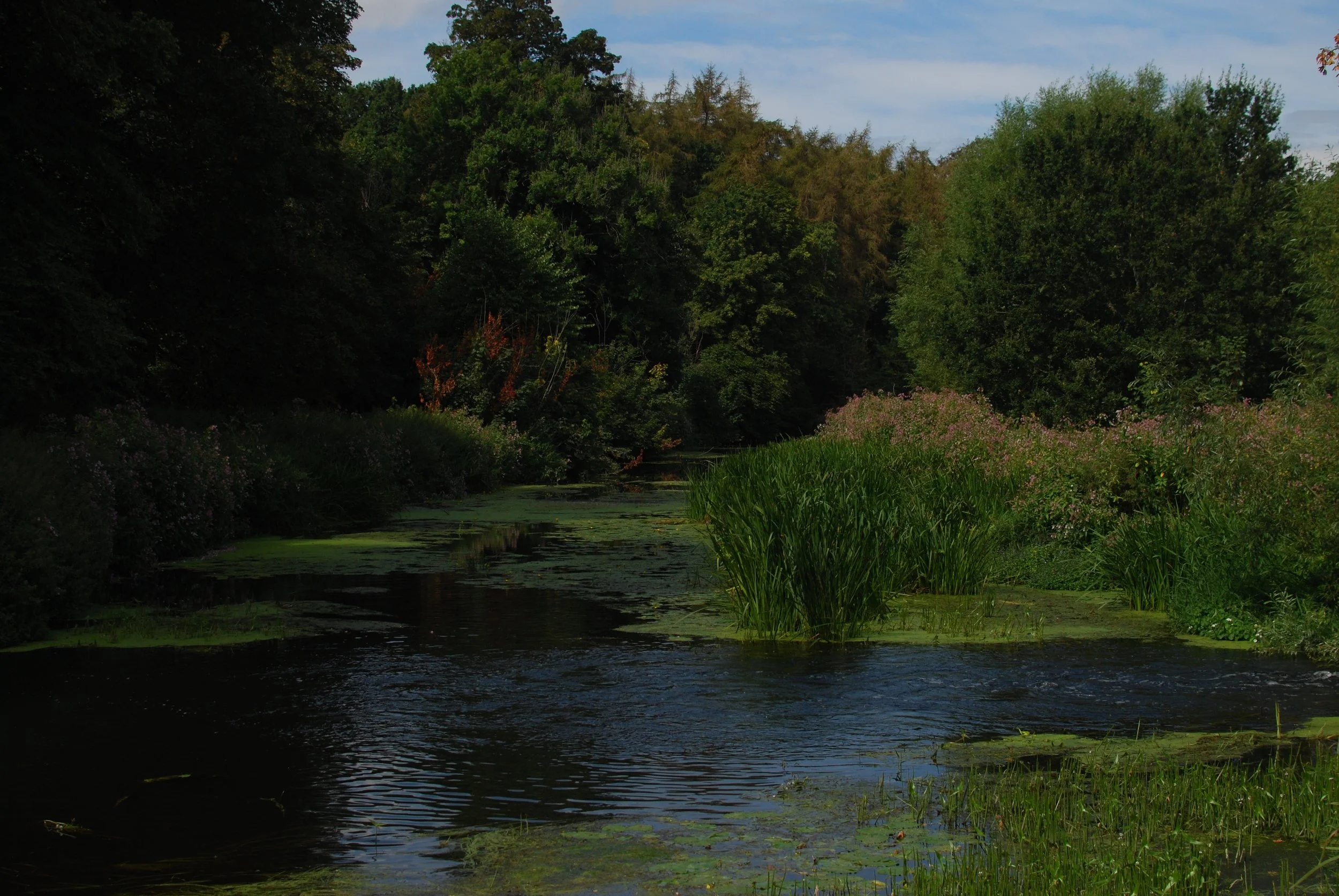 DSC_7882.JPG