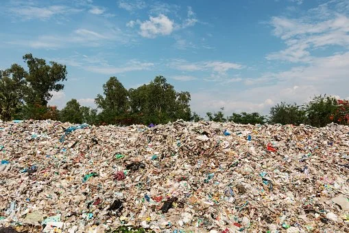Large pile of trash and paper waste outdoors with trees and blue sky in the background.
