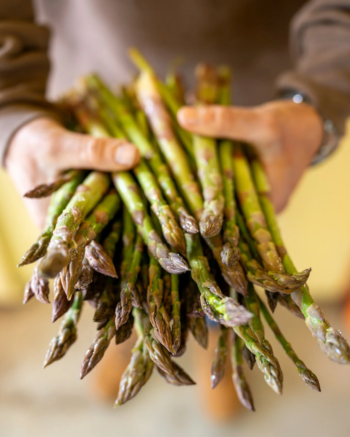 New season asparagus is here.

It&rsquo;s one of the new arrivals on the Feira shelves this week, and it&rsquo;s already flying out the door.

Fresh, tender and one of those things that needs very little - a hot pan, a little butter, salt and a squee