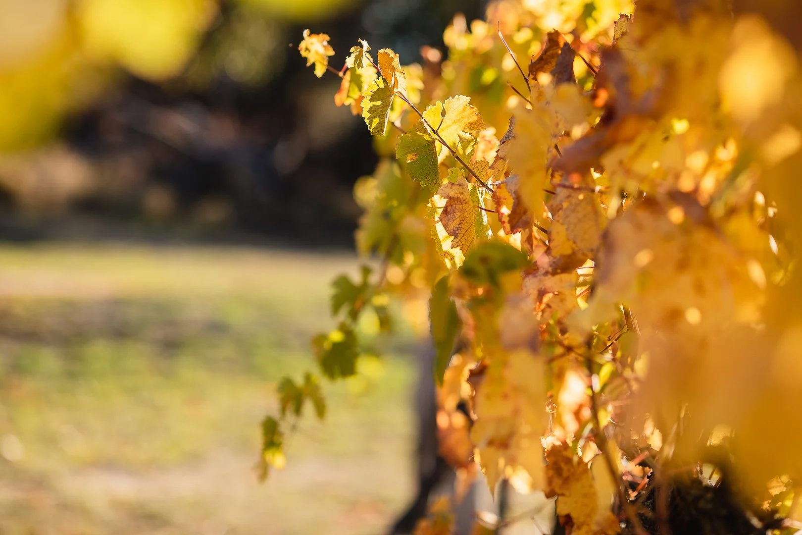 When autumn reaches granite country roads