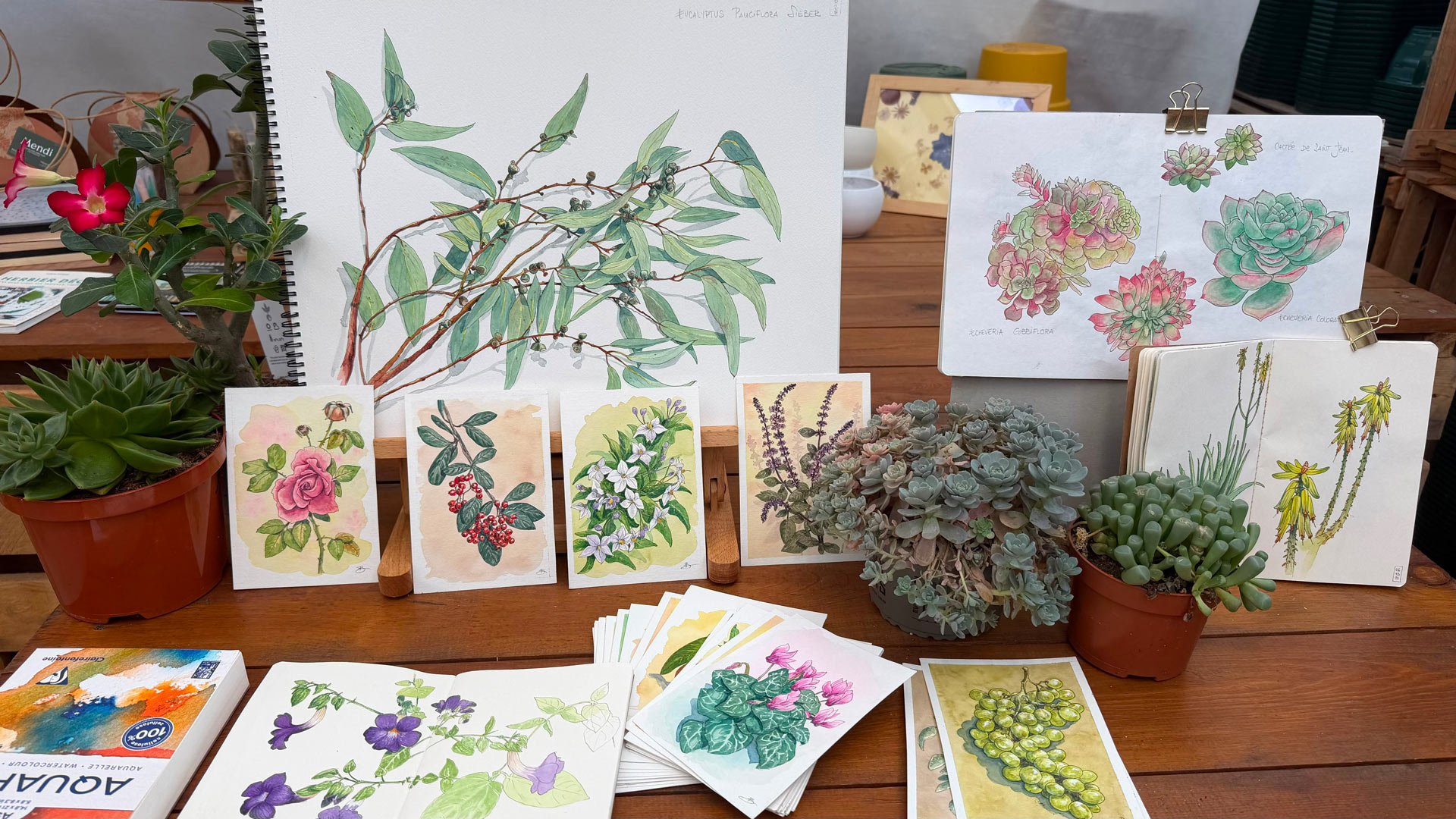 Une exposition artistique présentant des illustrations de plantes en aquarelle, comme des succulentes, des fleurs, et des branches, avec des pots de plantes réels en décoration.
