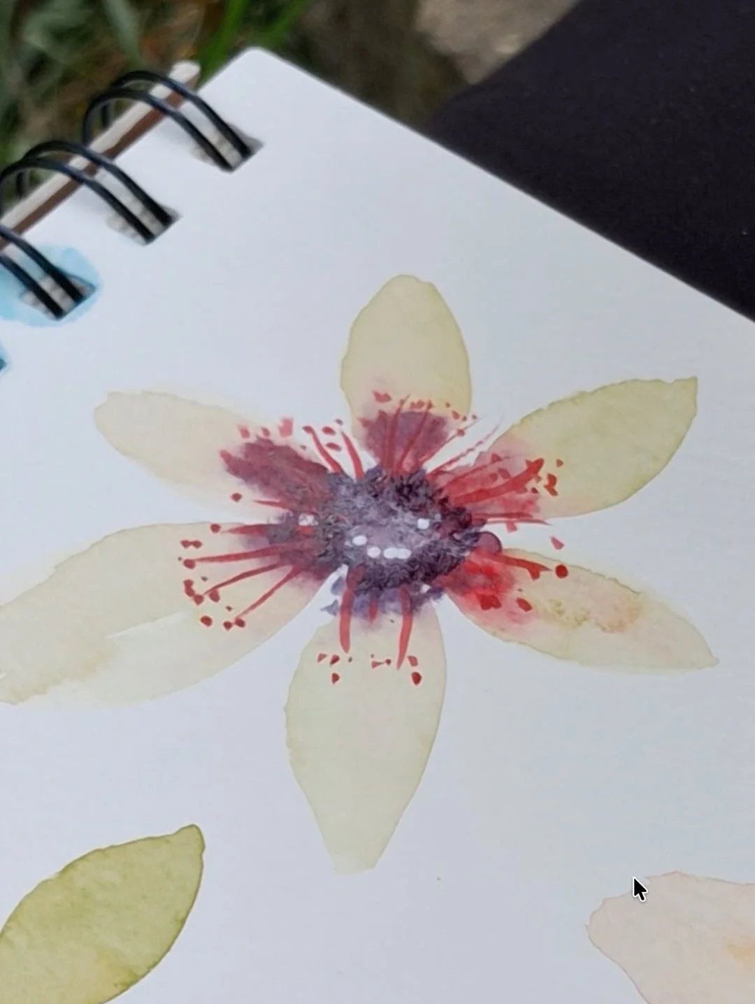 aquarelle végétale - arrose tes fleurs