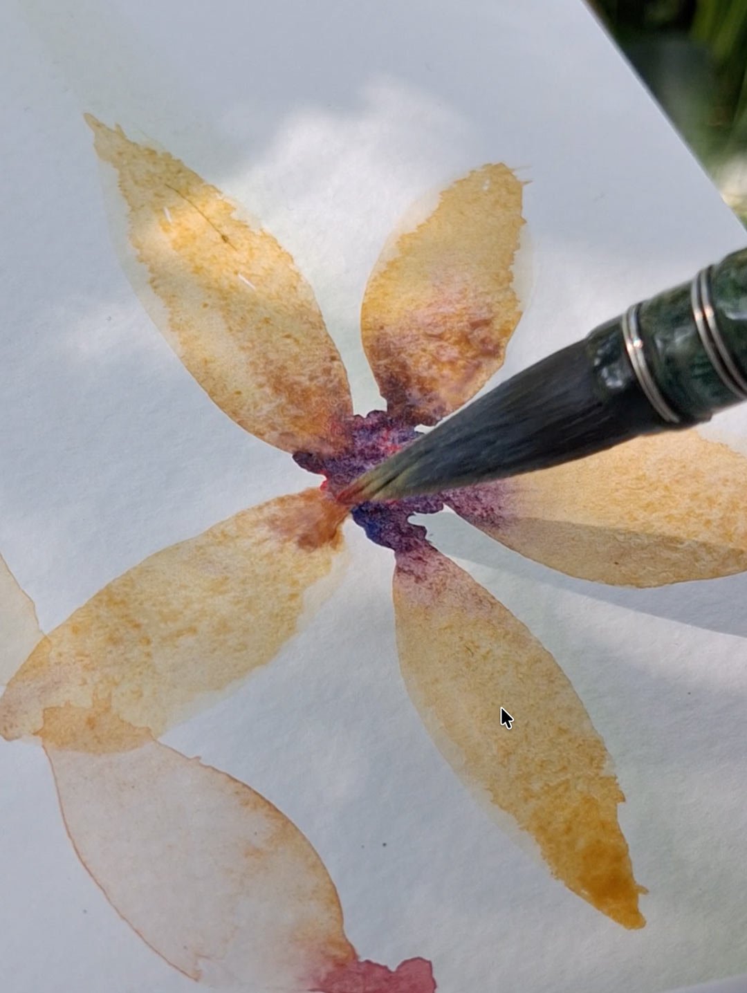 aquarelle-vegetale_arrosetesfleurs.15.jpg