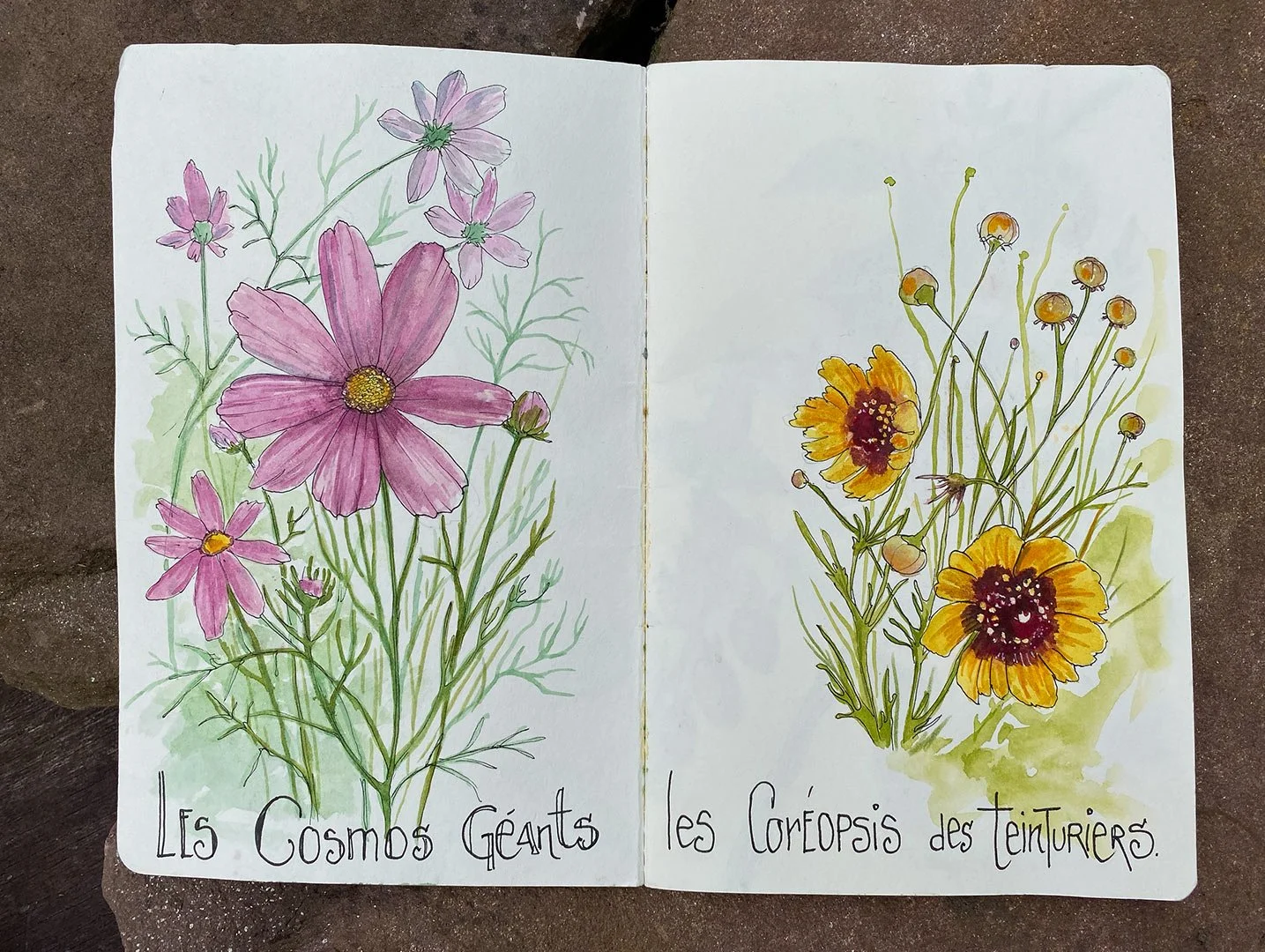 arrosetesfleurs-carnet-12.jpg