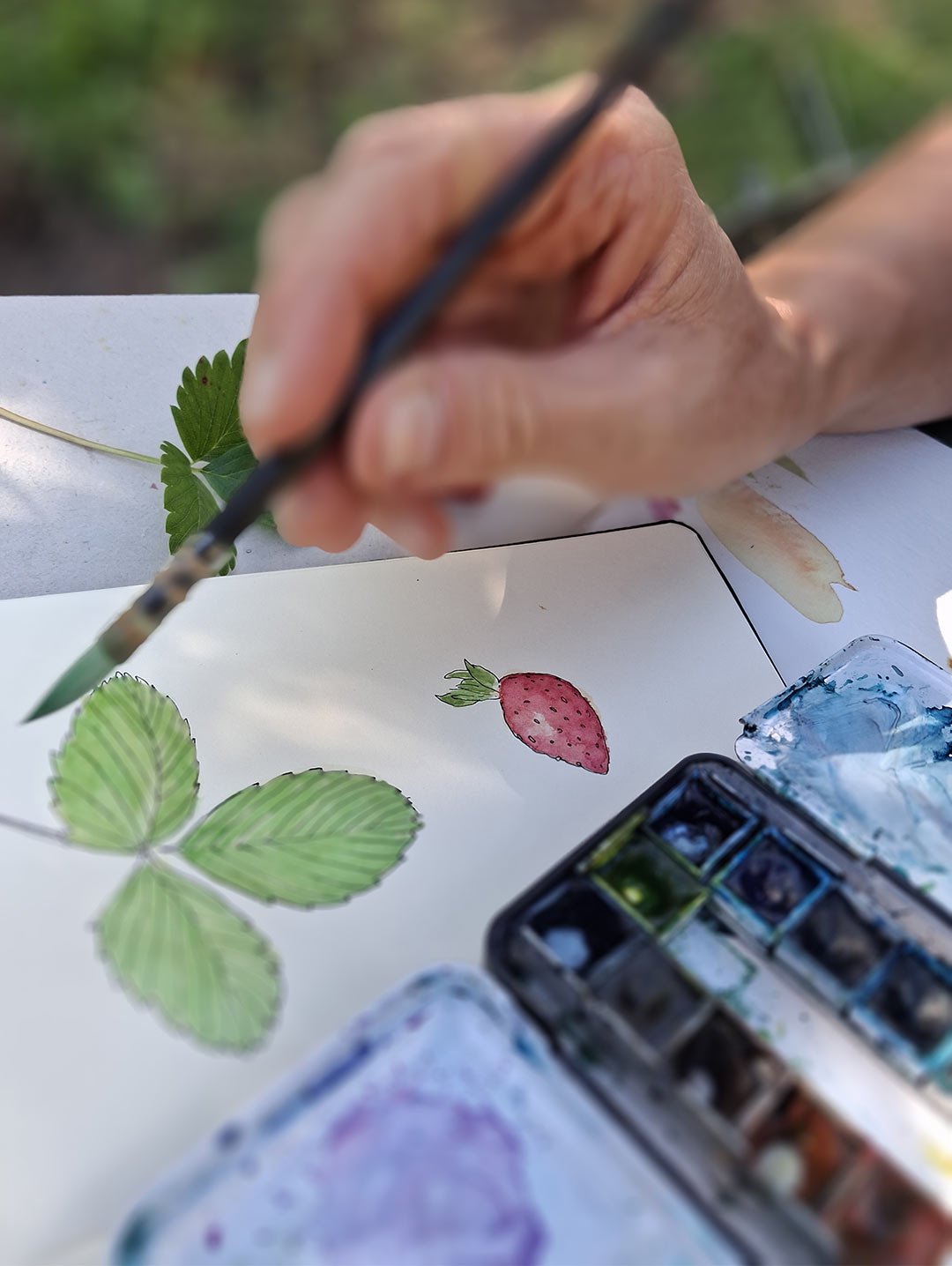 aquarelle-fraise_arrosetesfleurs.03.jpg