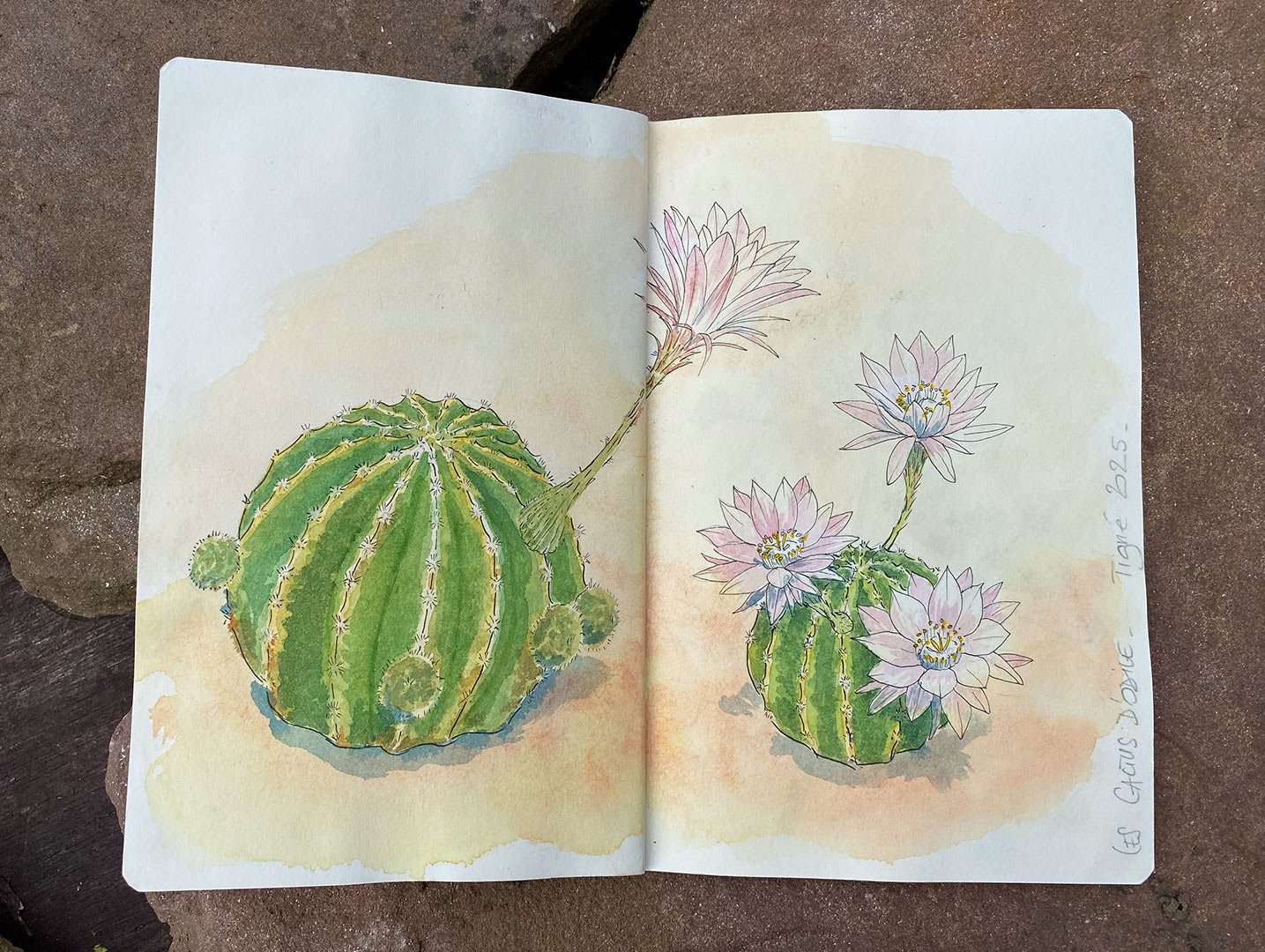 arrosetesfleurs-carnet-01.jpg