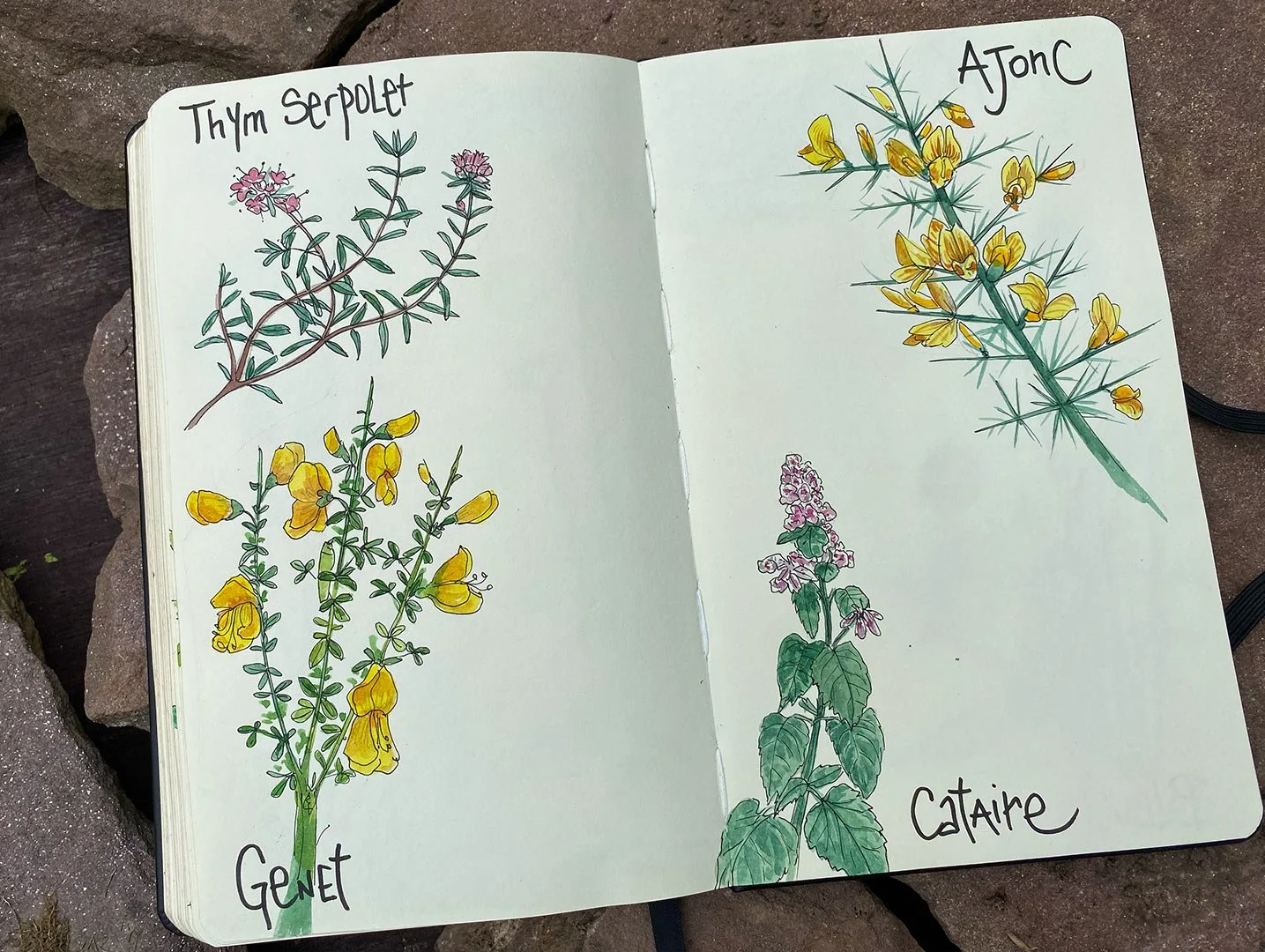 arrosetesfleurs-carnet-07.jpg