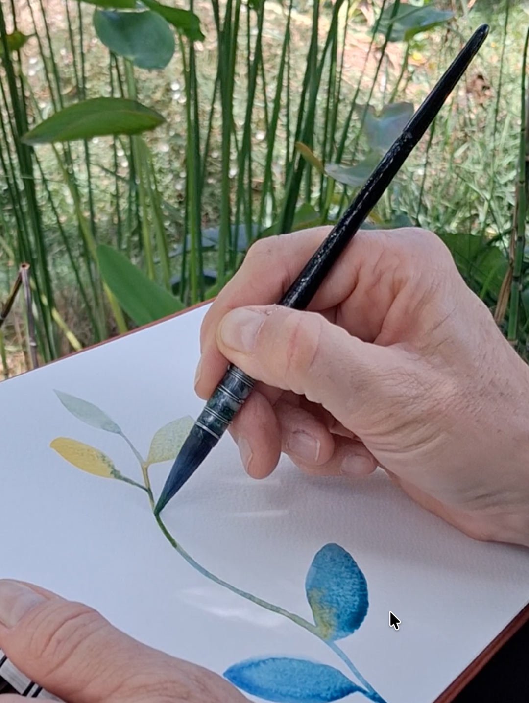 aquarelle-vegetale_arrosetesfleurs.18.jpg