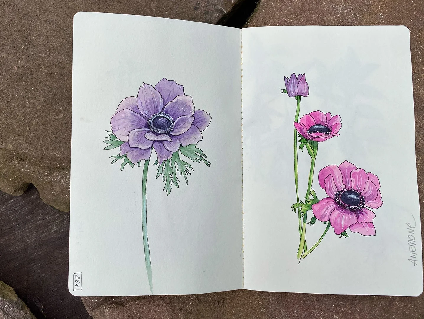 arrosetesfleurs-carnet-11.jpg