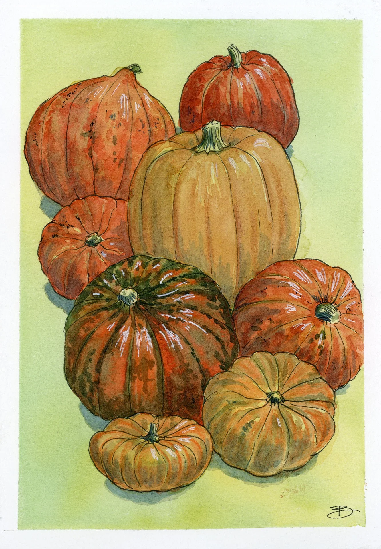Courges