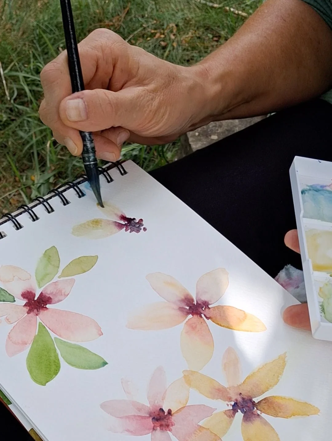 aquarelle-vegetale_arrosetesfleurs.16.jpg