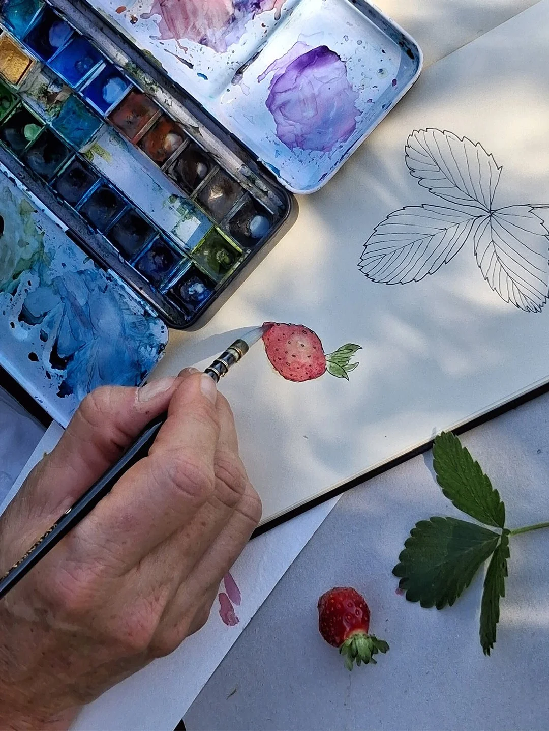 aquarelle-fraise_arrosetesfleurs.02.jpg