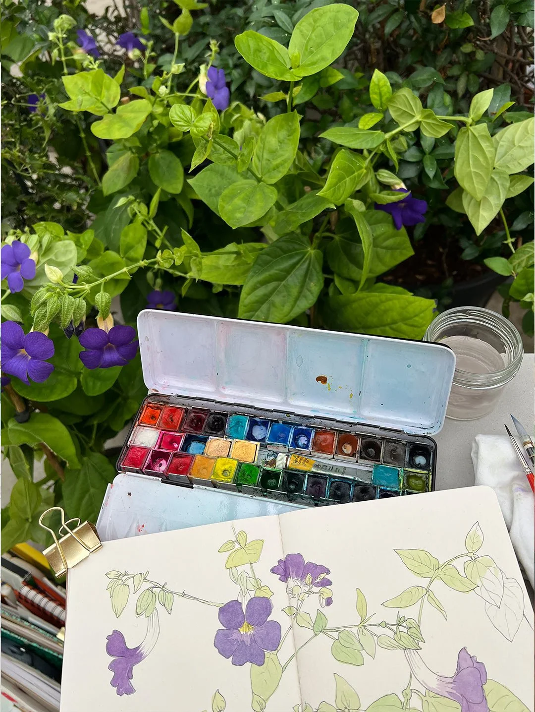 aquarelle-vegetale_arrosetesfleurs.10.jpg