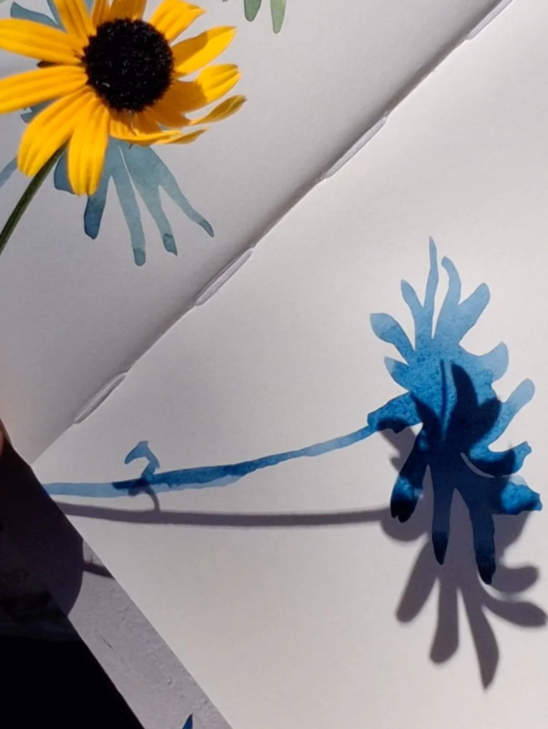 aquarelle-vegetale_arrosetesfleurs.21.jpg